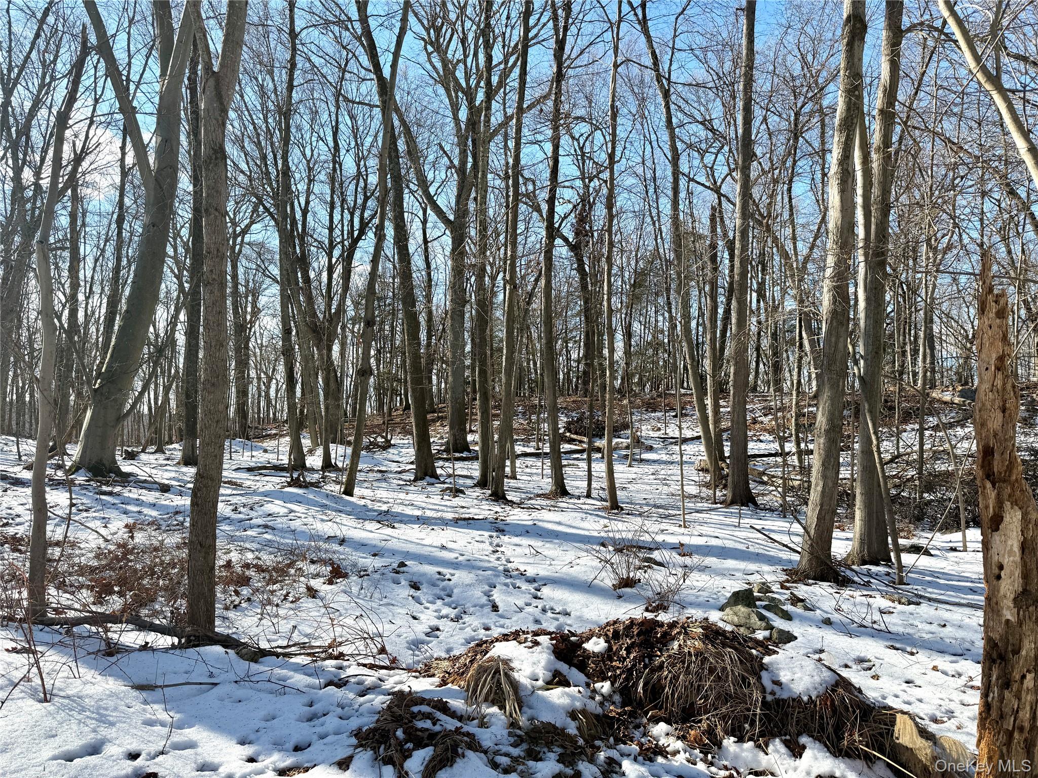 8 Maple Ridge Trail, North Salem, NY 10560