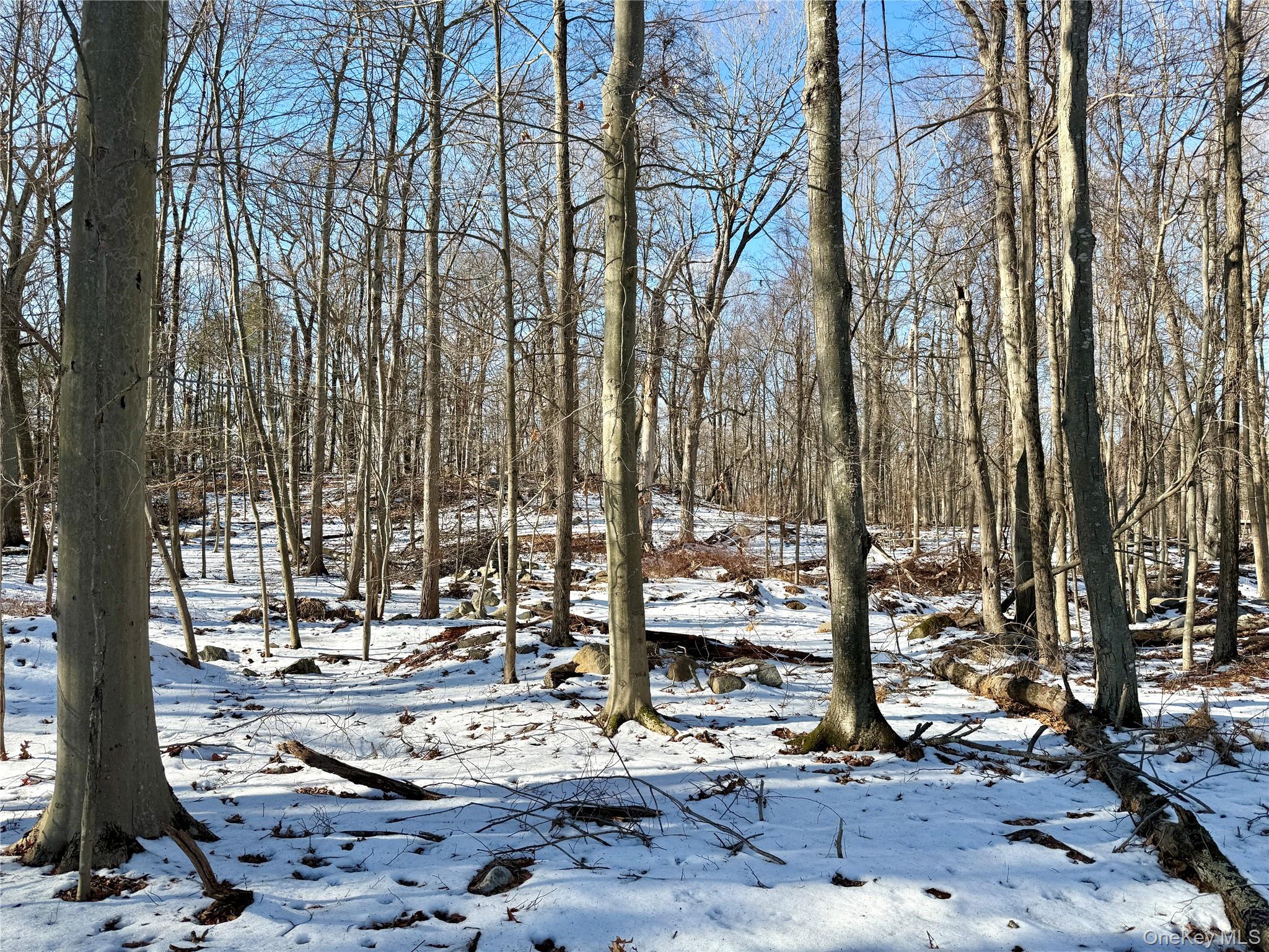 8 Maple Ridge Trail, North Salem, NY 10560