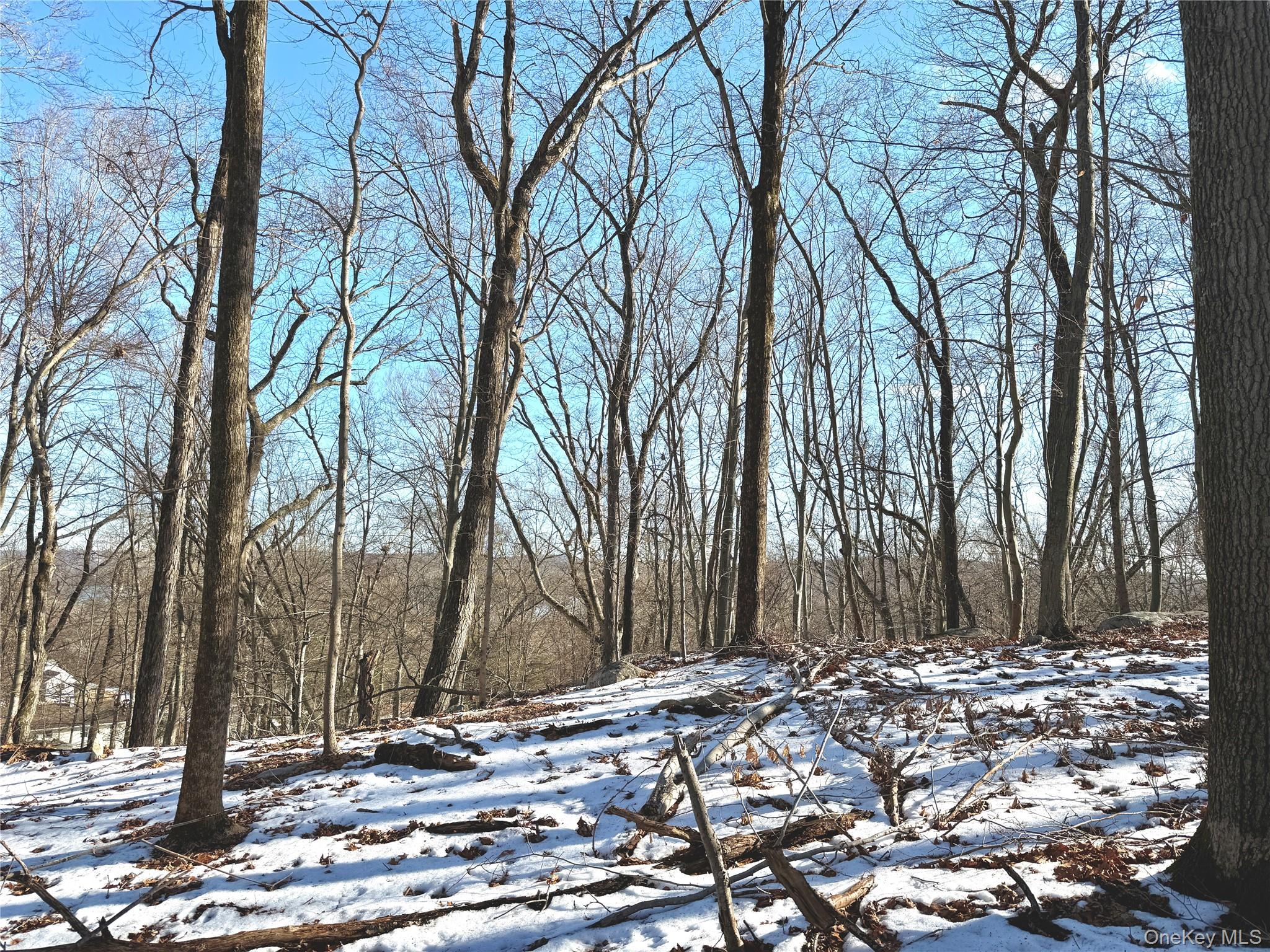 8 Maple Ridge Trail, North Salem, NY 10560