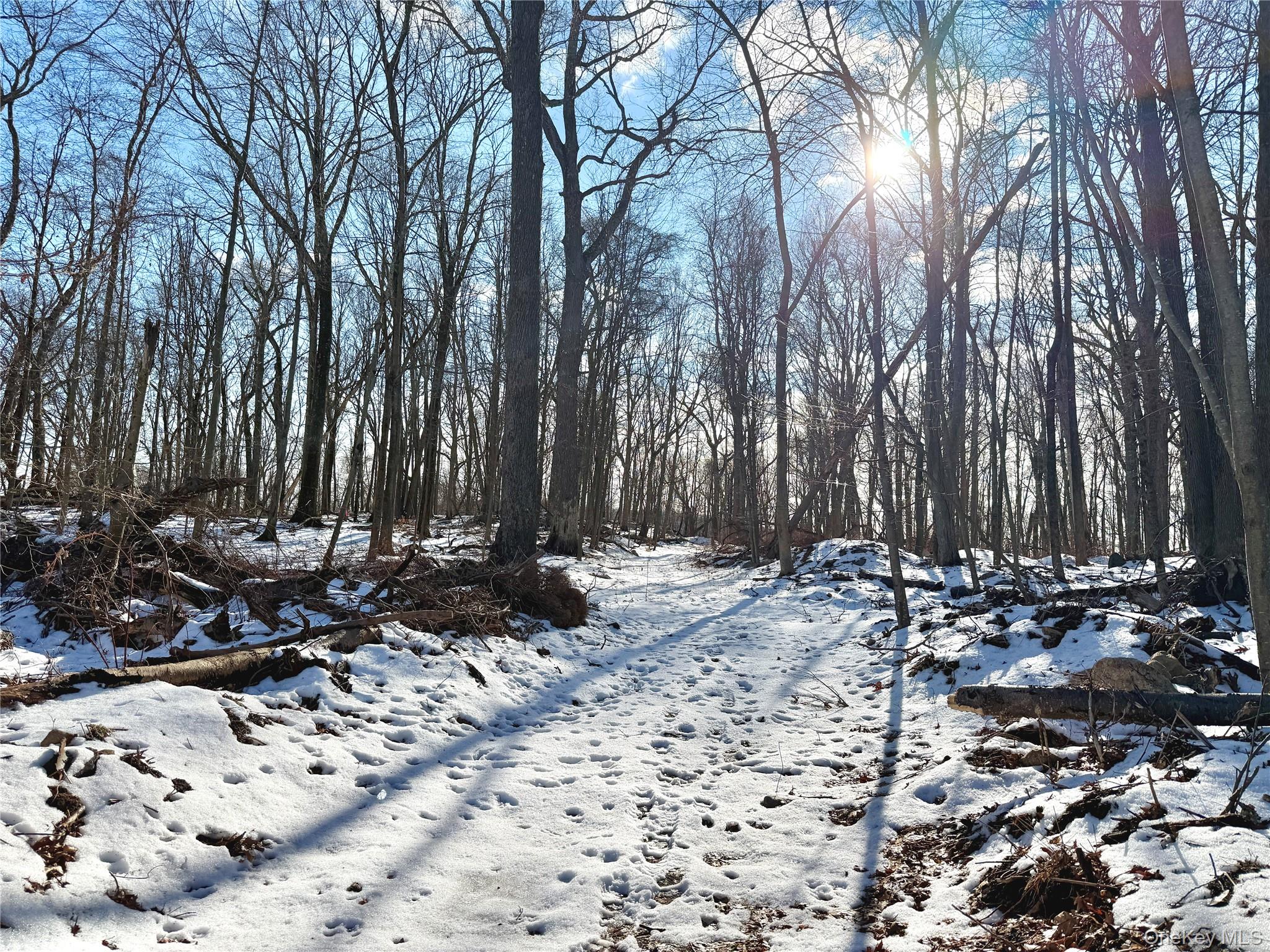 8 Maple Ridge Trail, North Salem, NY 10560