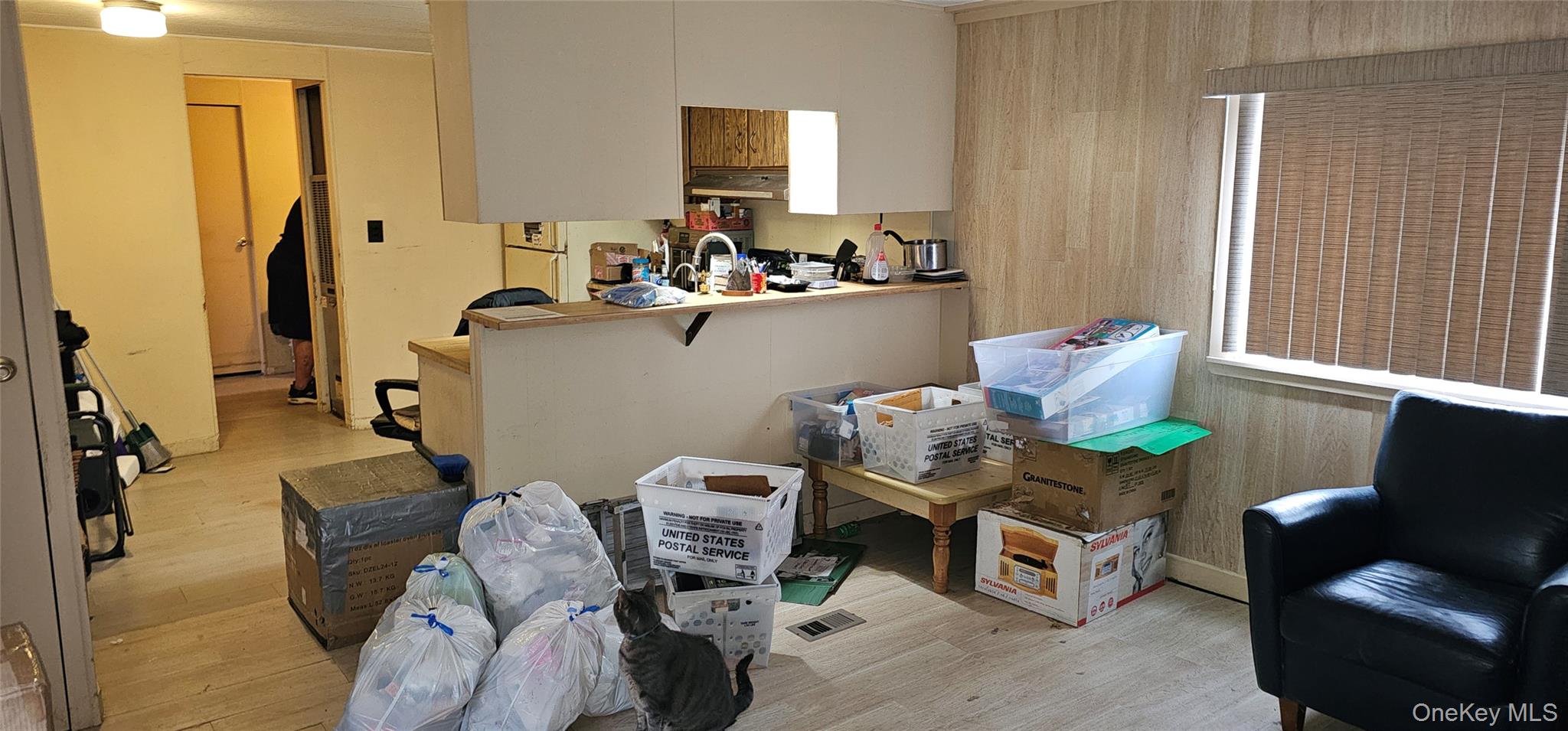 525 Riverleigh Avenue # 206, Riverhead, NY 11901