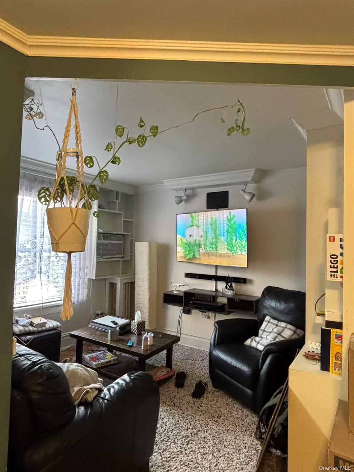 57-15 66th Street, Maspeth, NY 11378