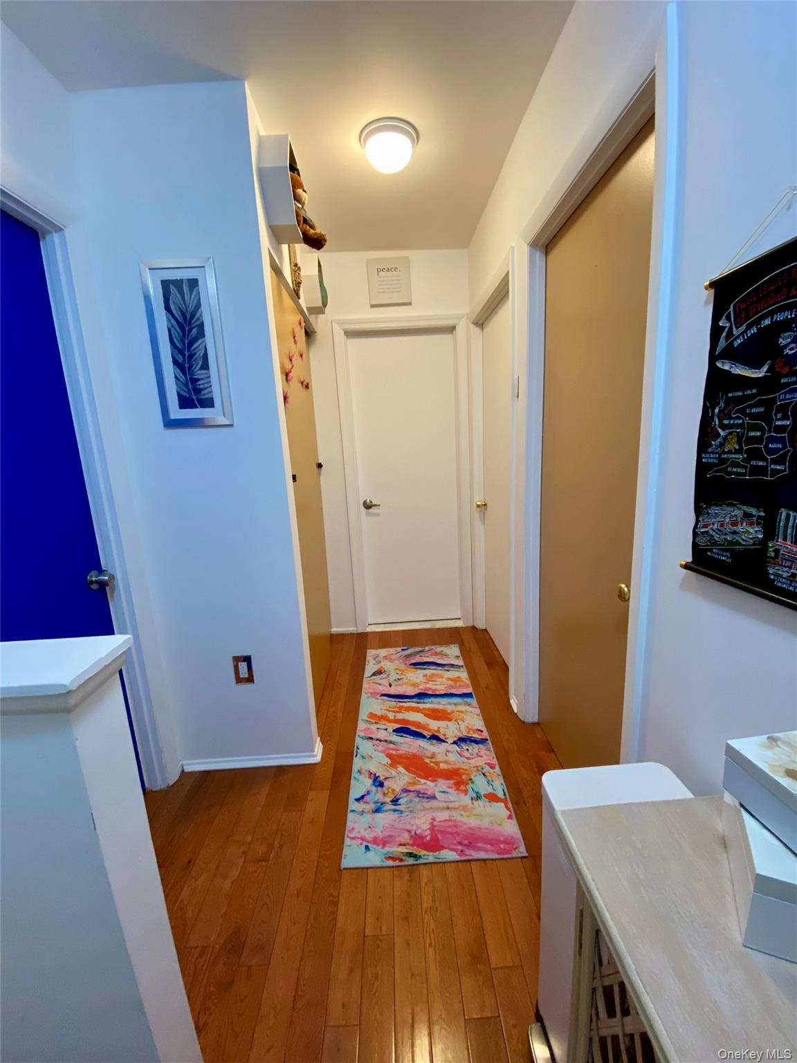 660 Williams Avenue, Brooklyn, NY 11207