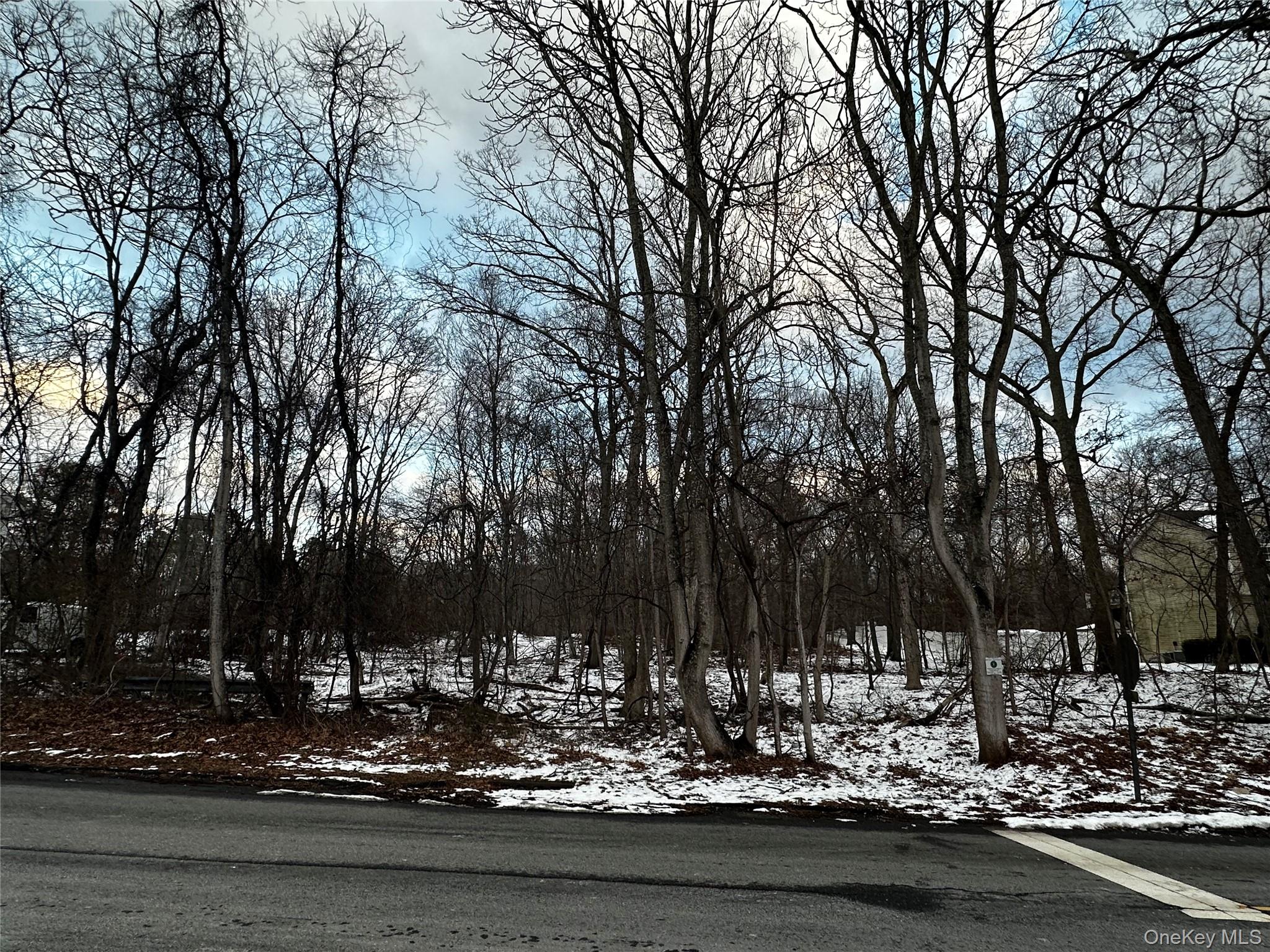 W Bartlett Road, Middle Island, NY 11953