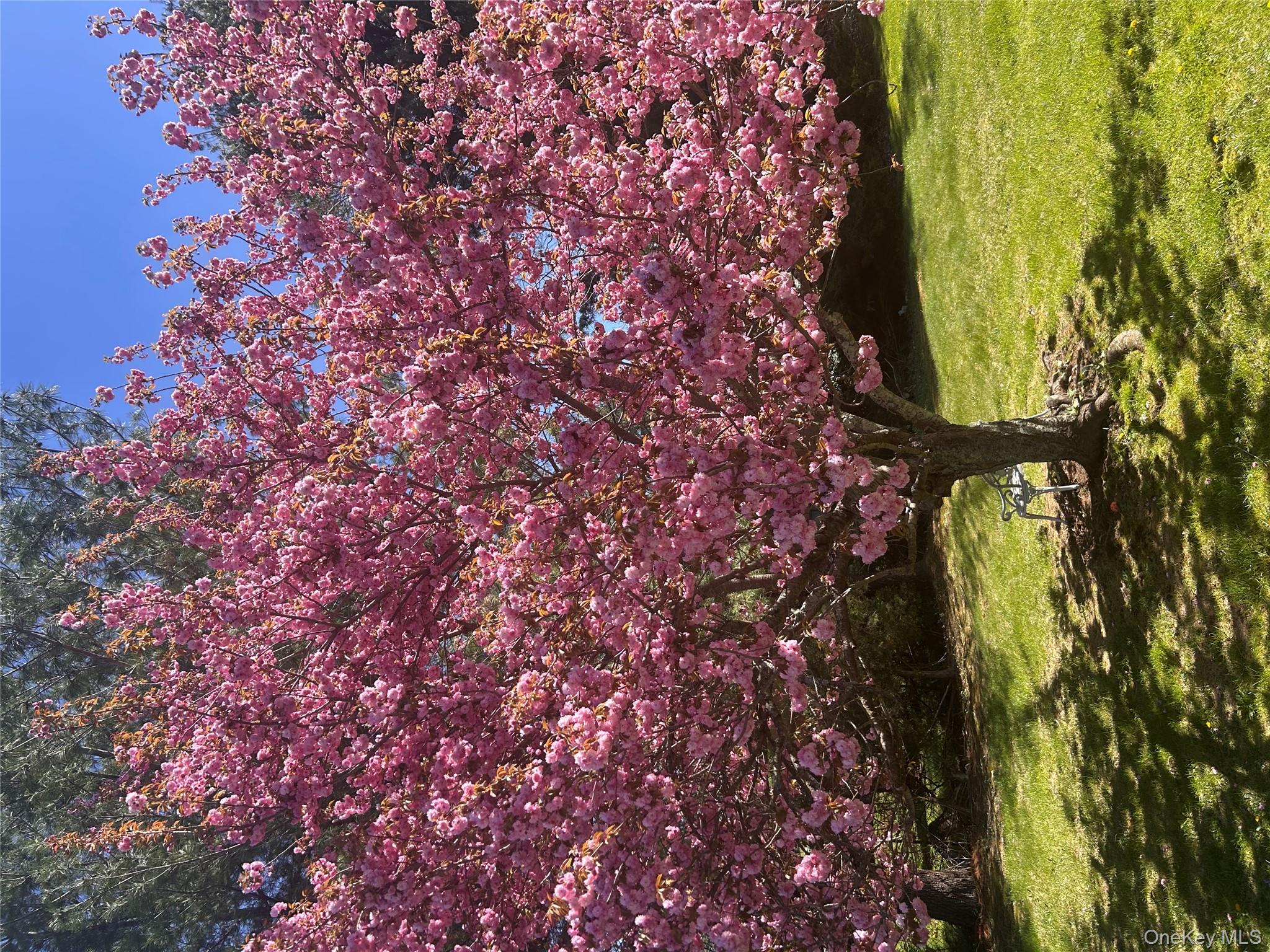 20 Lake Road, Mahopac, NY 10541