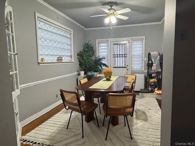 14411 75th Avenue, Flushing, NY 11367