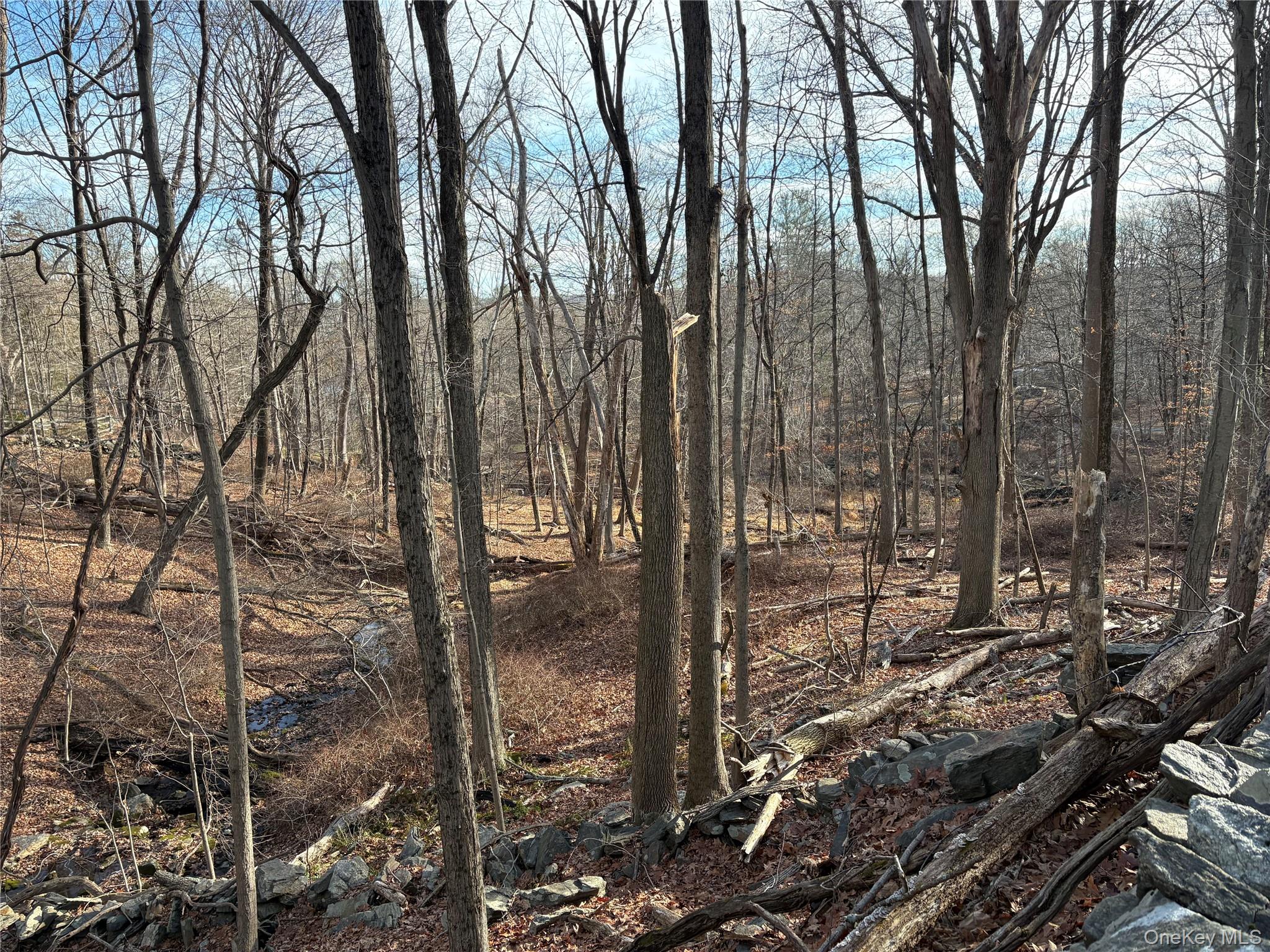 Salem Road, Pound Ridge, NY 10576