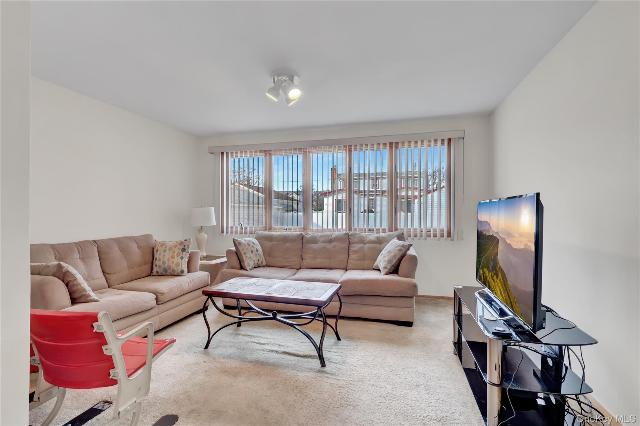 206 9th Street, Hicksville, NY 11801