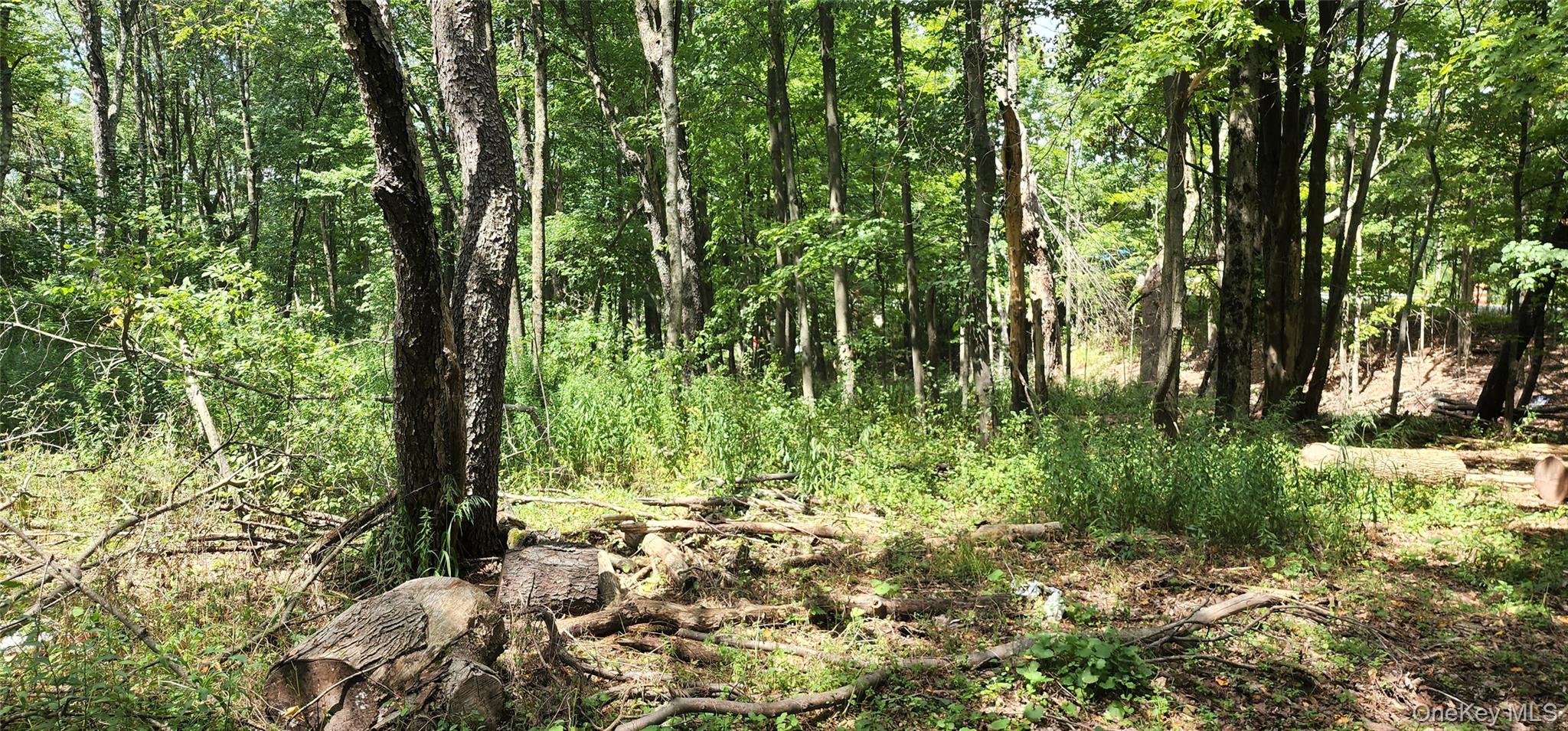 00 Liberty Street, Monticello, NY 12701