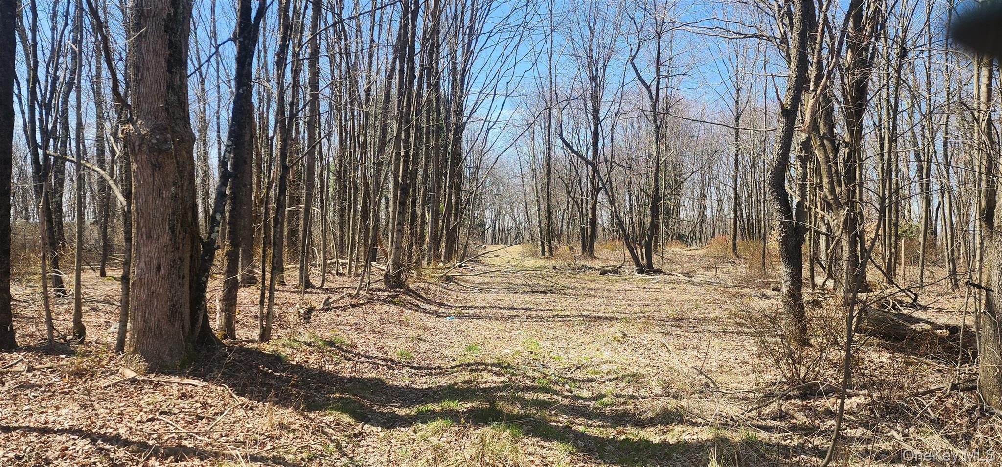 00 Liberty Street, Monticello, NY 12701