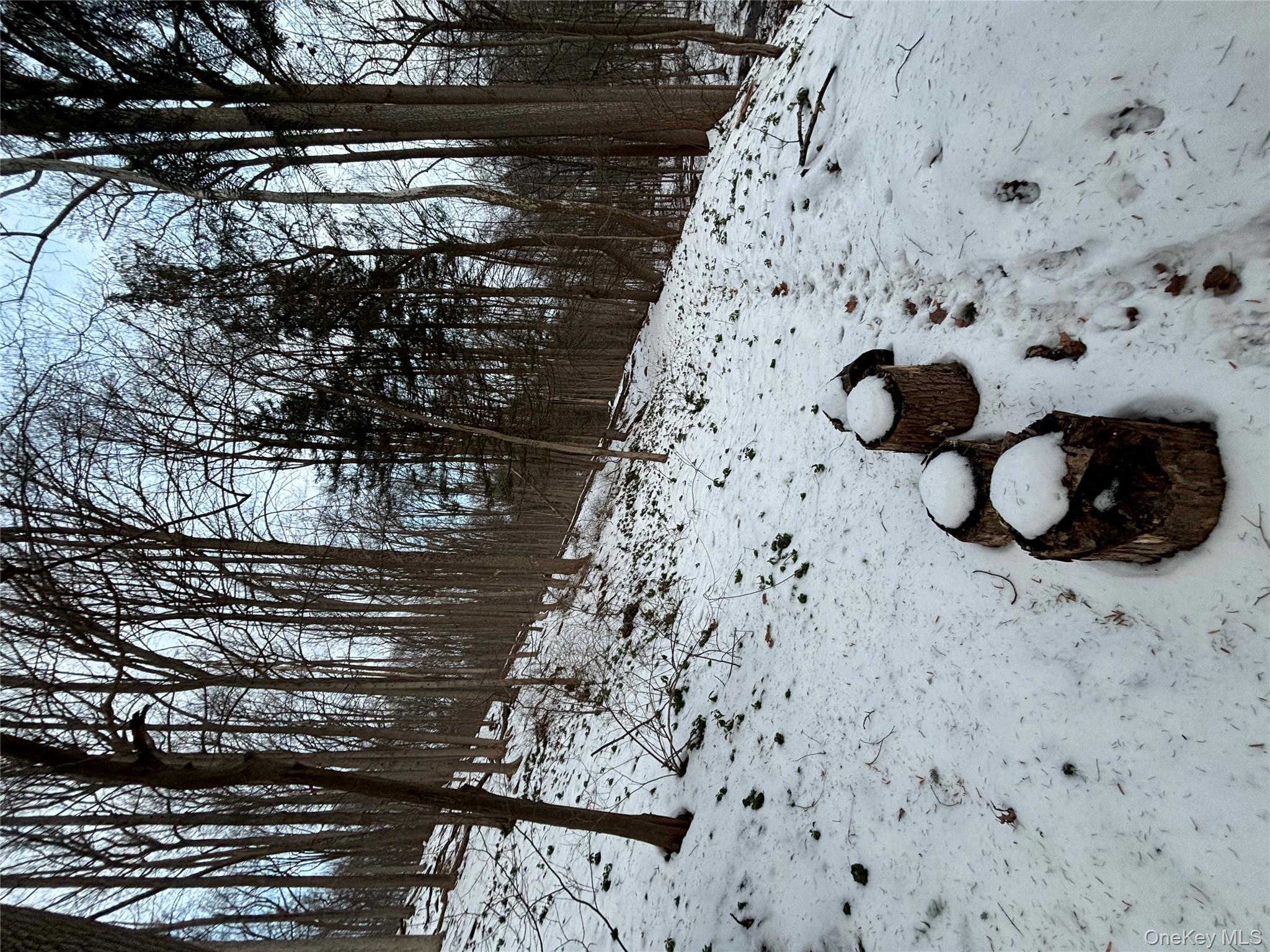 Gallows Hill Road, Cortlandt Manor, NY 10567