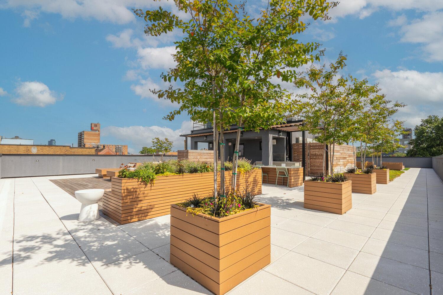 228 13TH Street # 201, Brooklyn, NY 11215