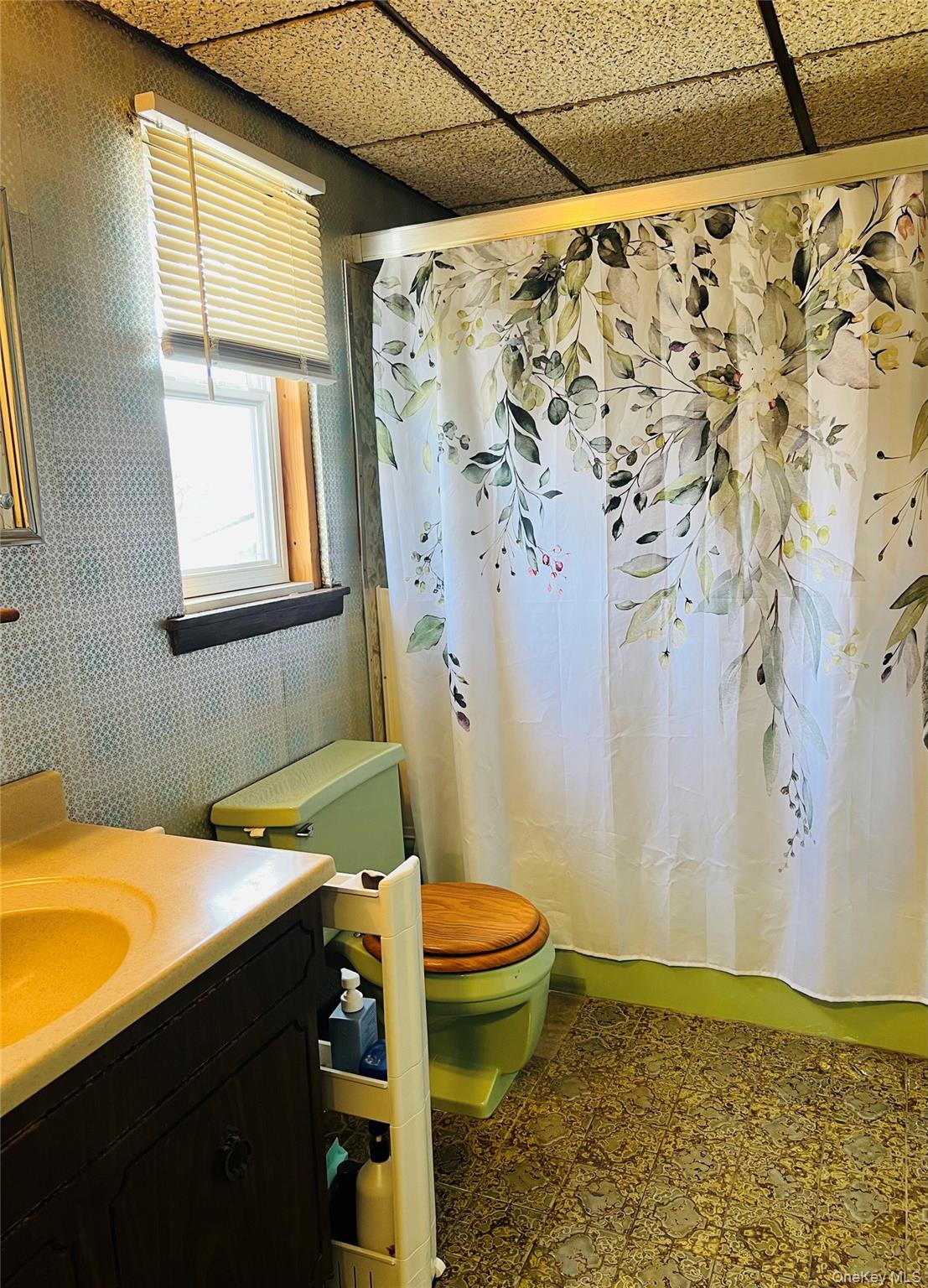 38 Riviera Drive, Selden, NY 11784