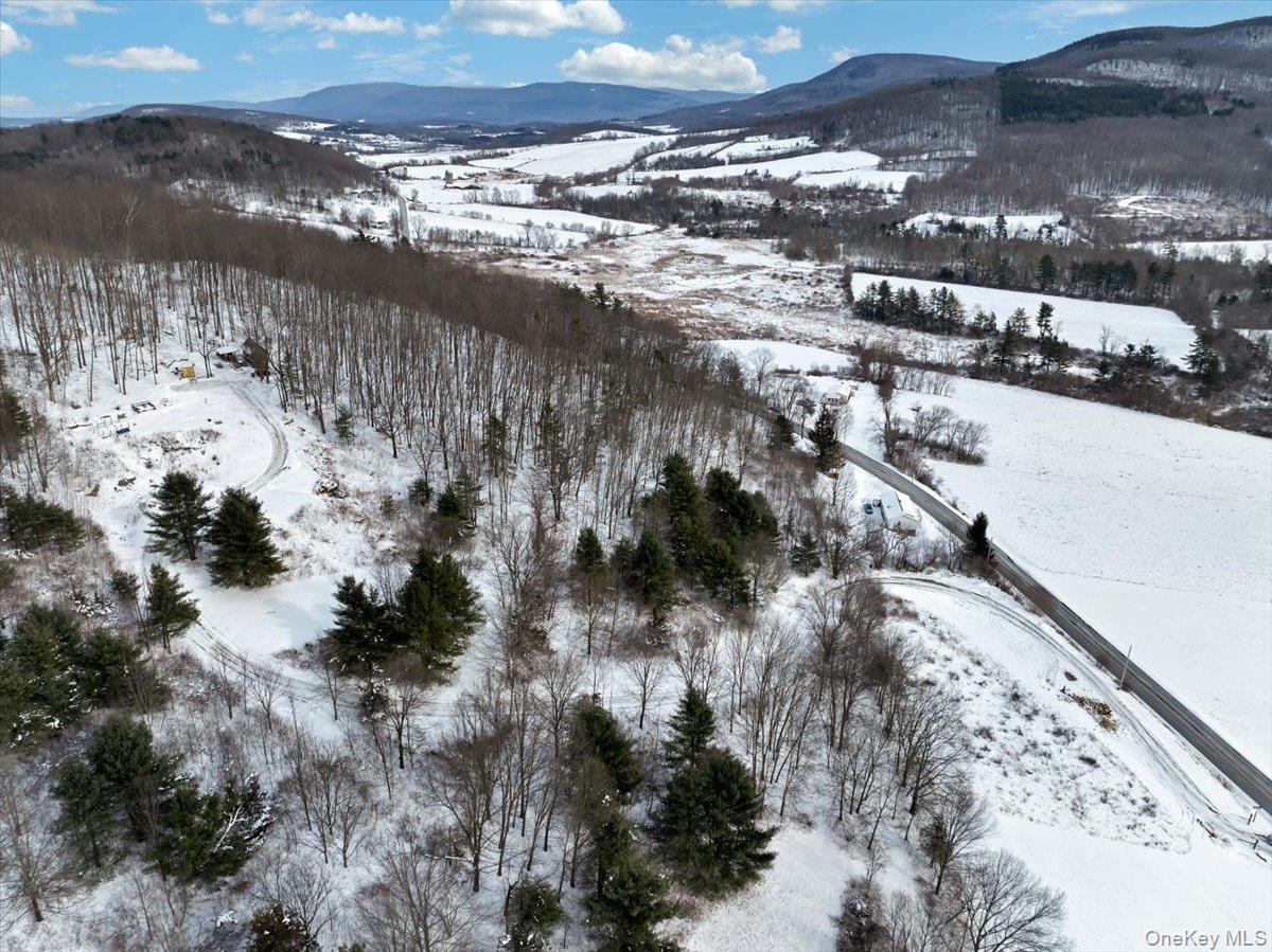 277 Breese Hollow Road, Call Listing Agent, NY 12090