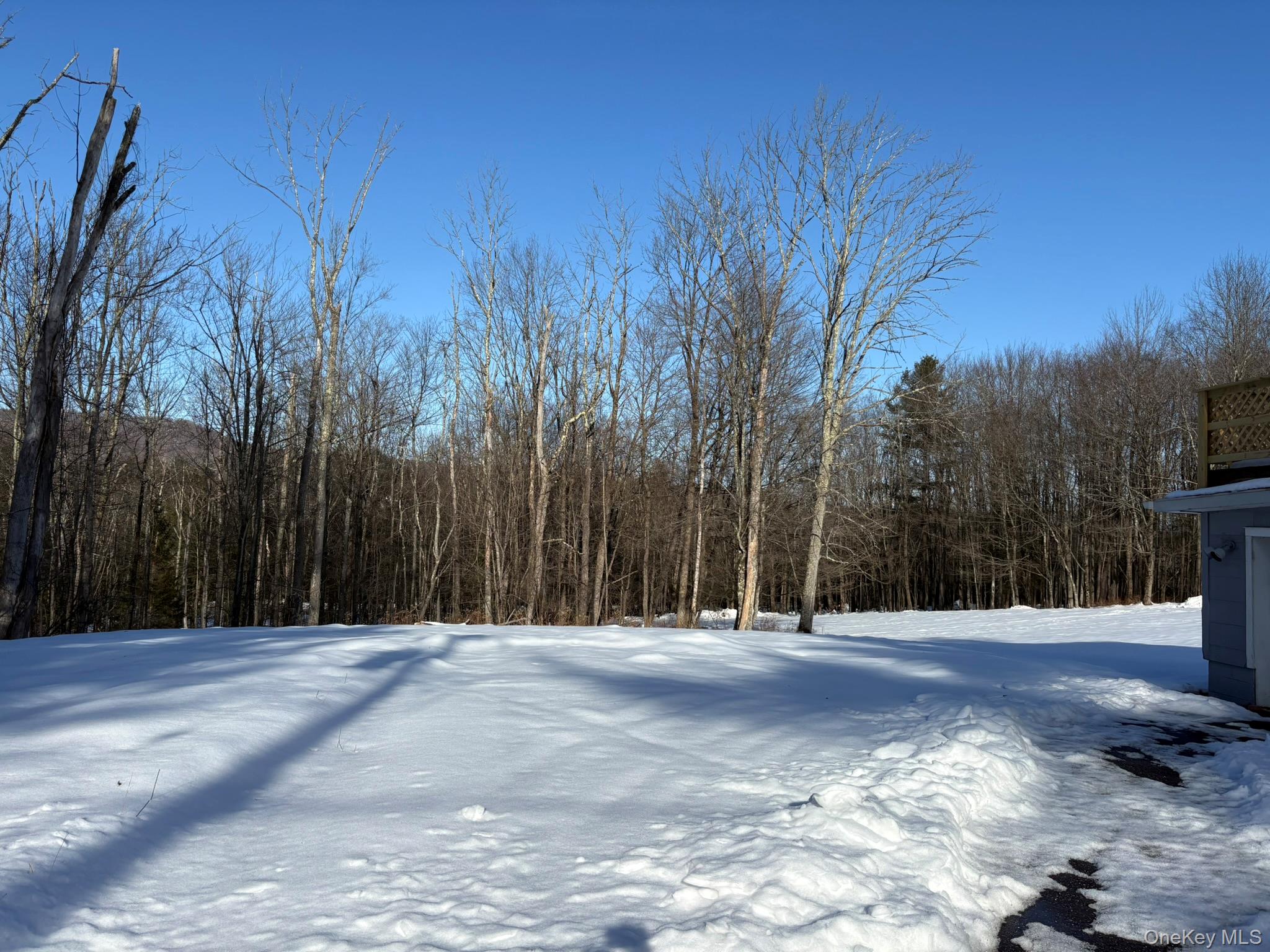 241 W Lake Street, Liberty, NY 12754