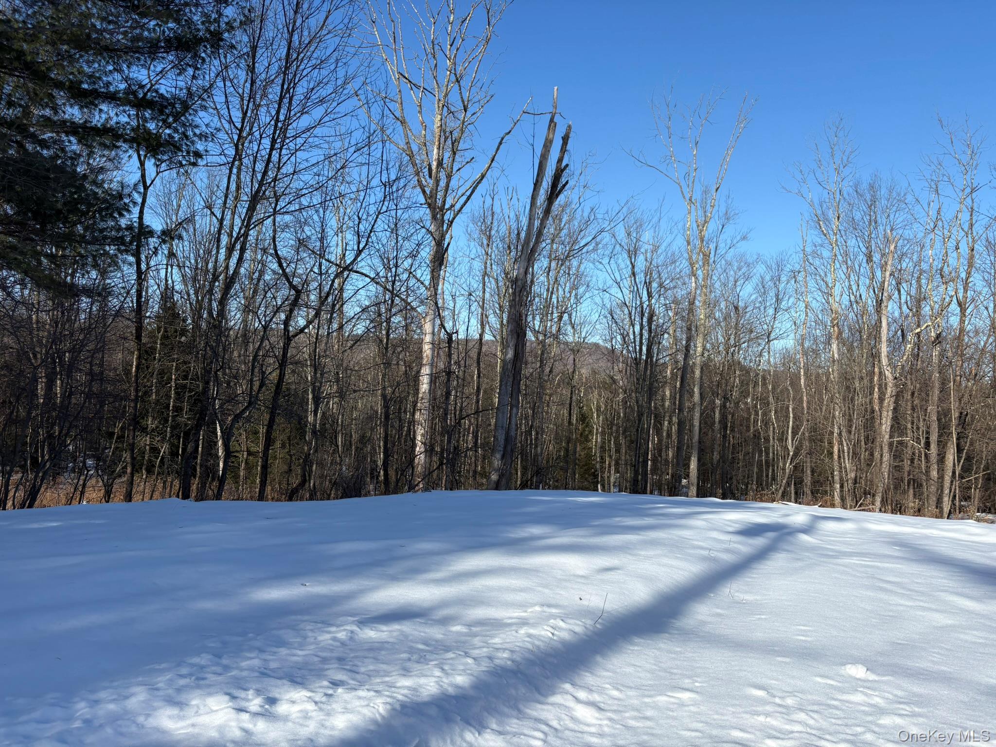 241 W Lake Street, Liberty, NY 12754