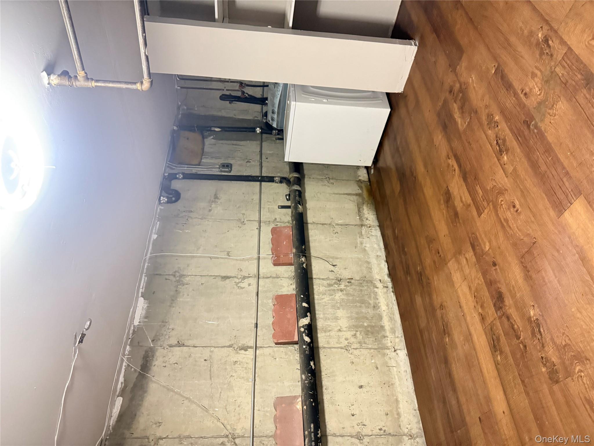 244 Grafton Street, Brooklyn, NY 11212