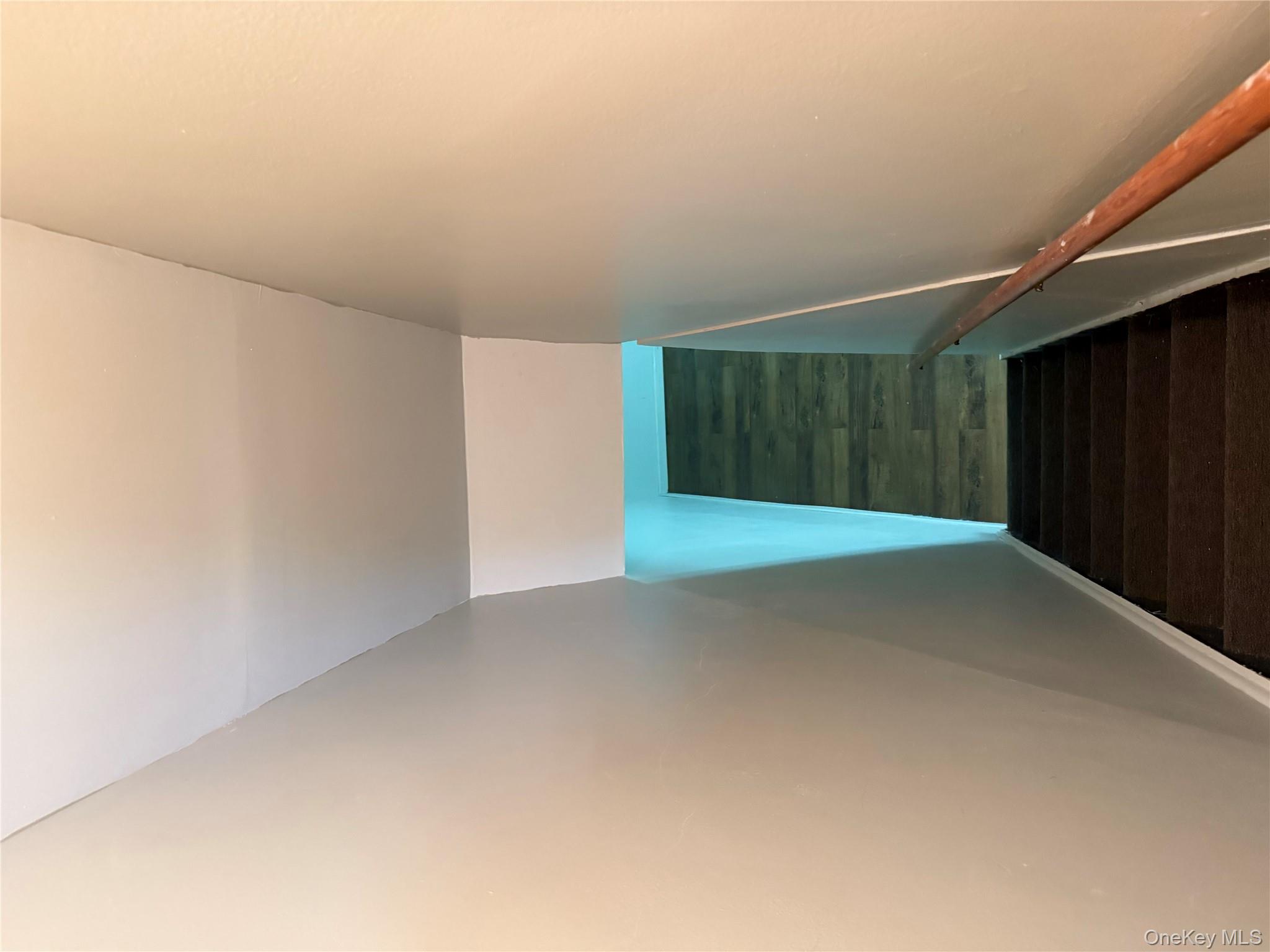 244 Grafton Street, Brooklyn, NY 11212