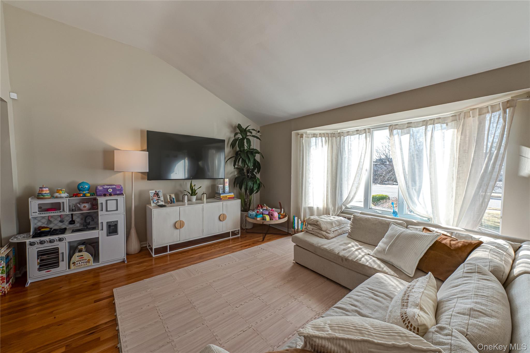 13 Evelyn Road, Plainview, NY 11803