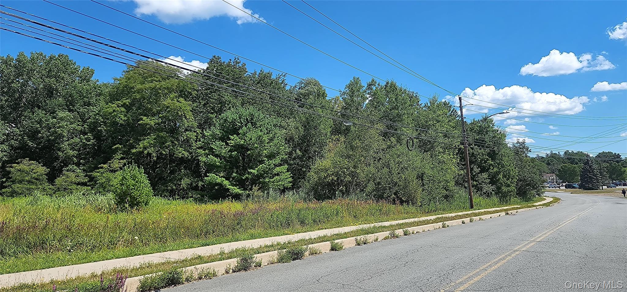 00 Sturgis Road, Monticello, NY 12701