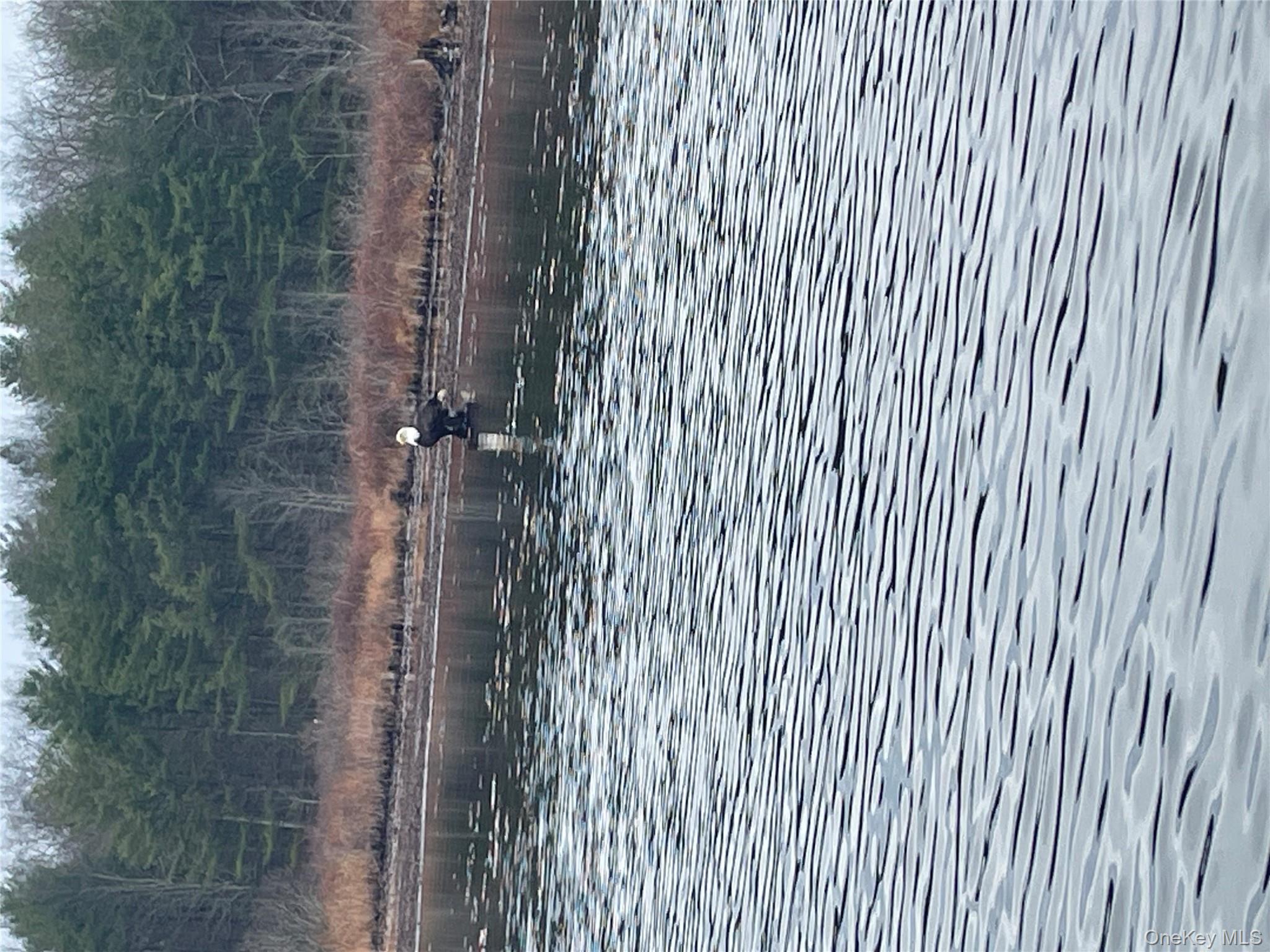 York Lake Estates Road, Barryville, NY 12719