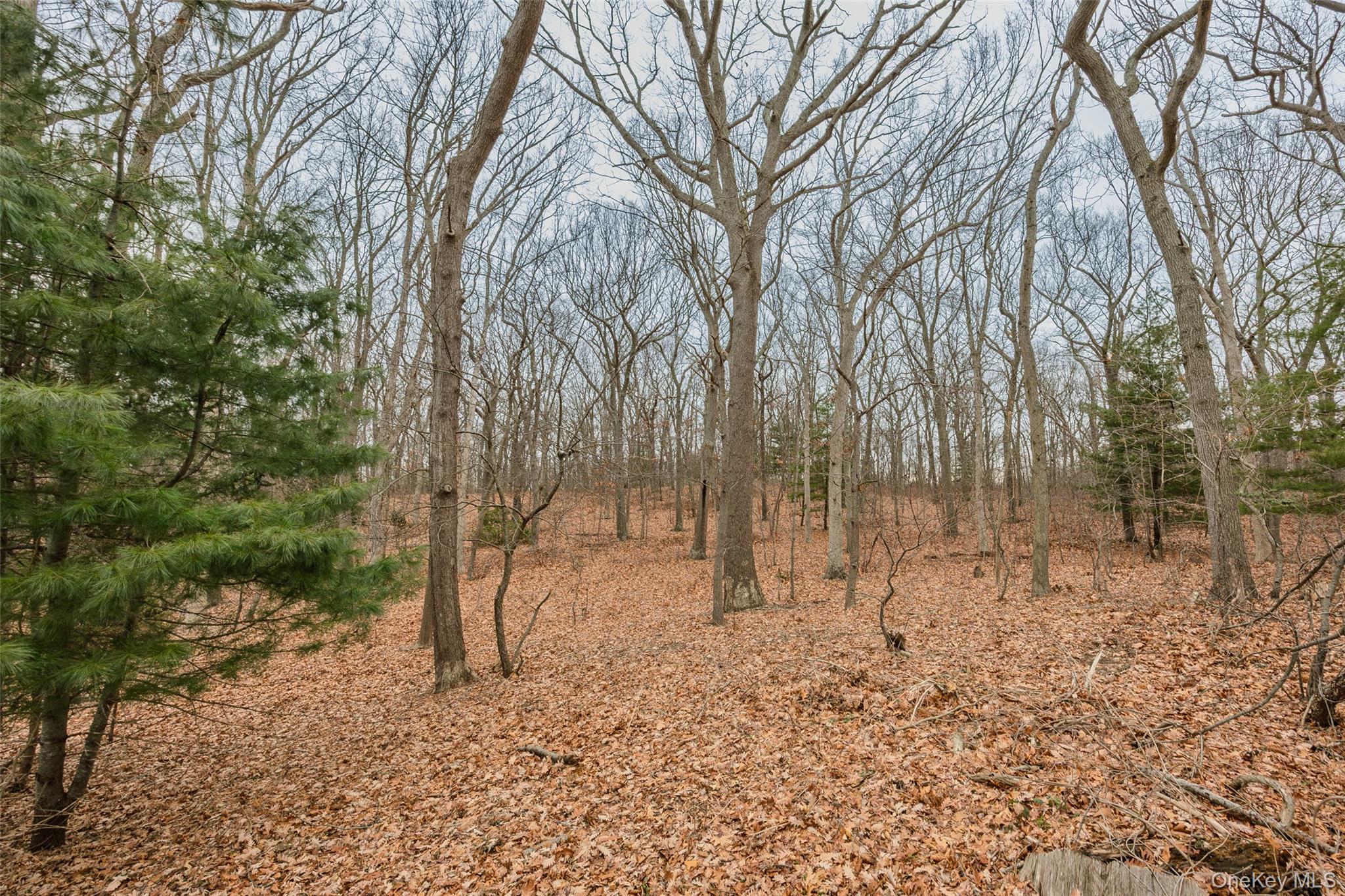 31 Country Lane Drive, Kings Park, NY 11754