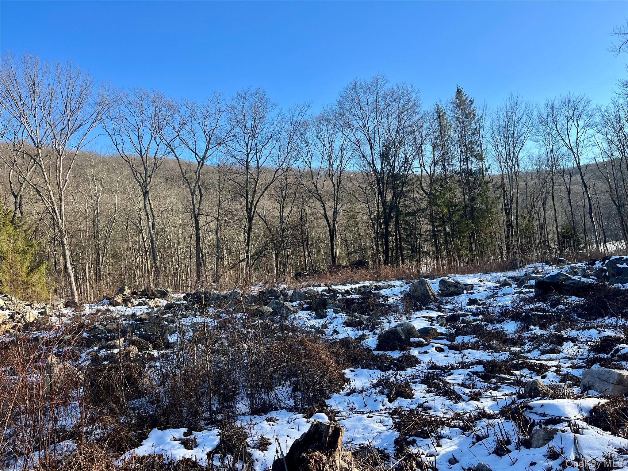 80 Nelson Road, Greenwood Lake, NY 10925