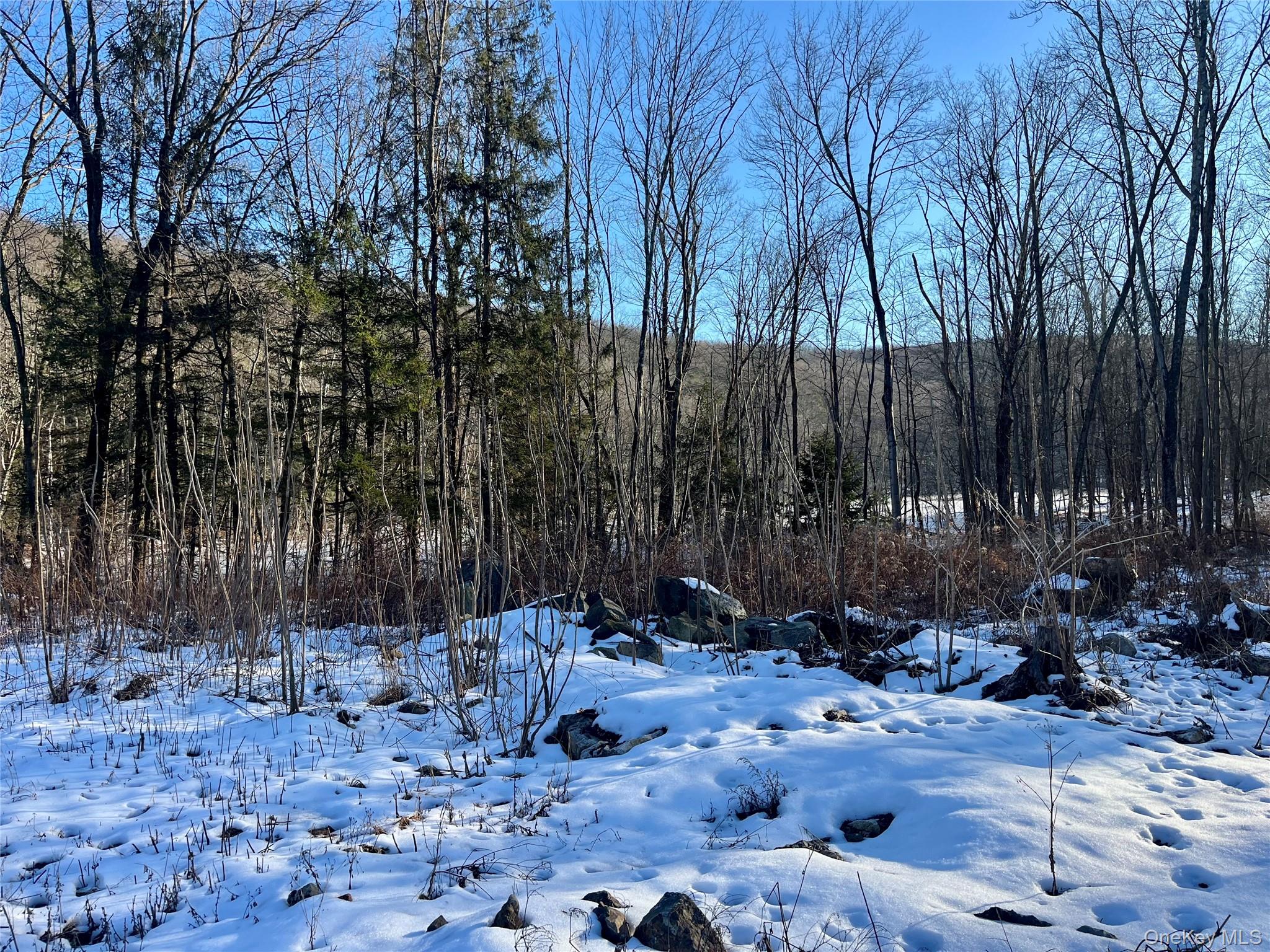 80 Nelson Road, Greenwood Lake, NY 10925