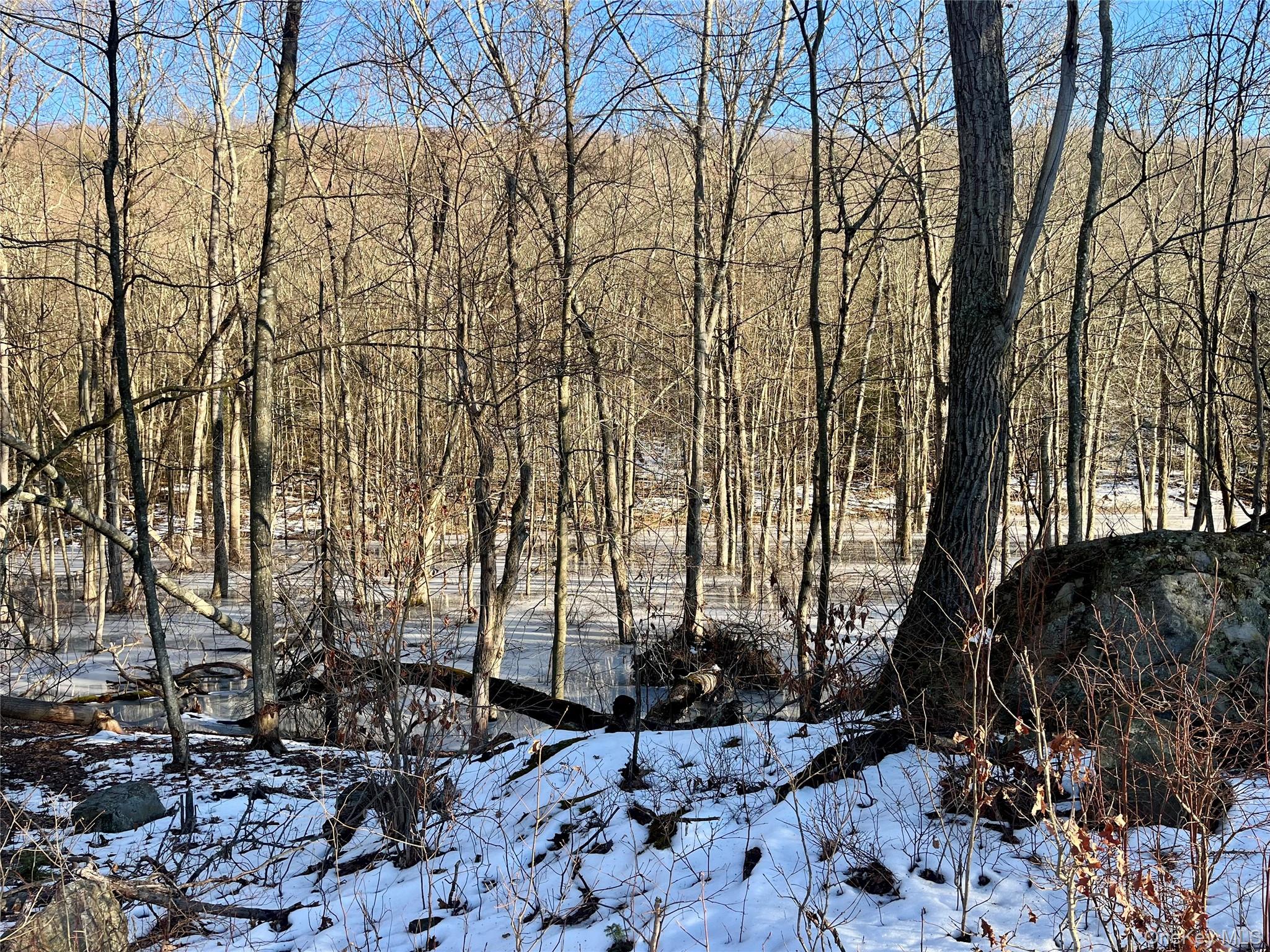 80 Nelson Road, Greenwood Lake, NY 10925