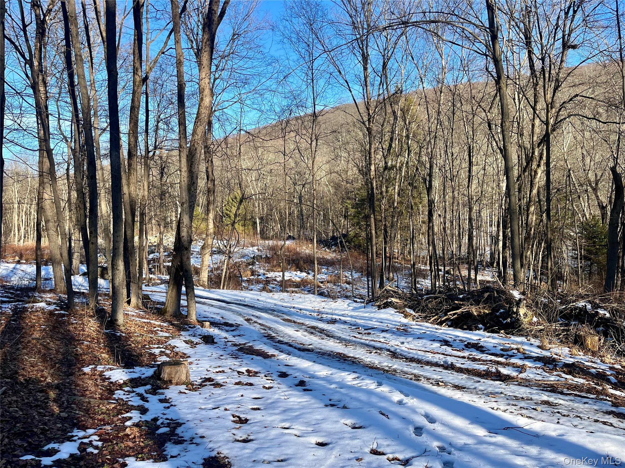 80 Nelson Road, Greenwood Lake, NY 10925