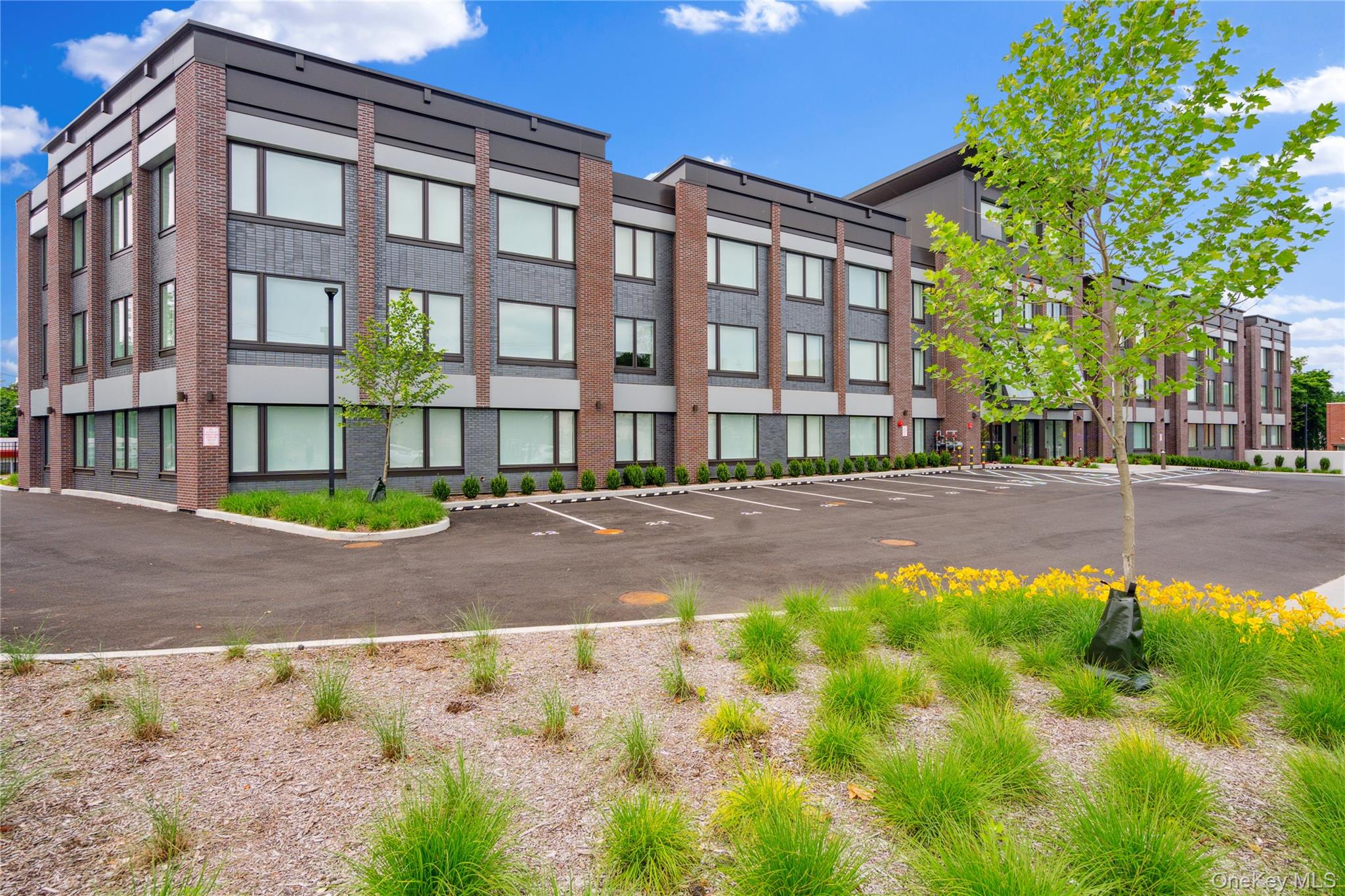 218 Middle Neck Road # 211, Great Neck, NY 11021