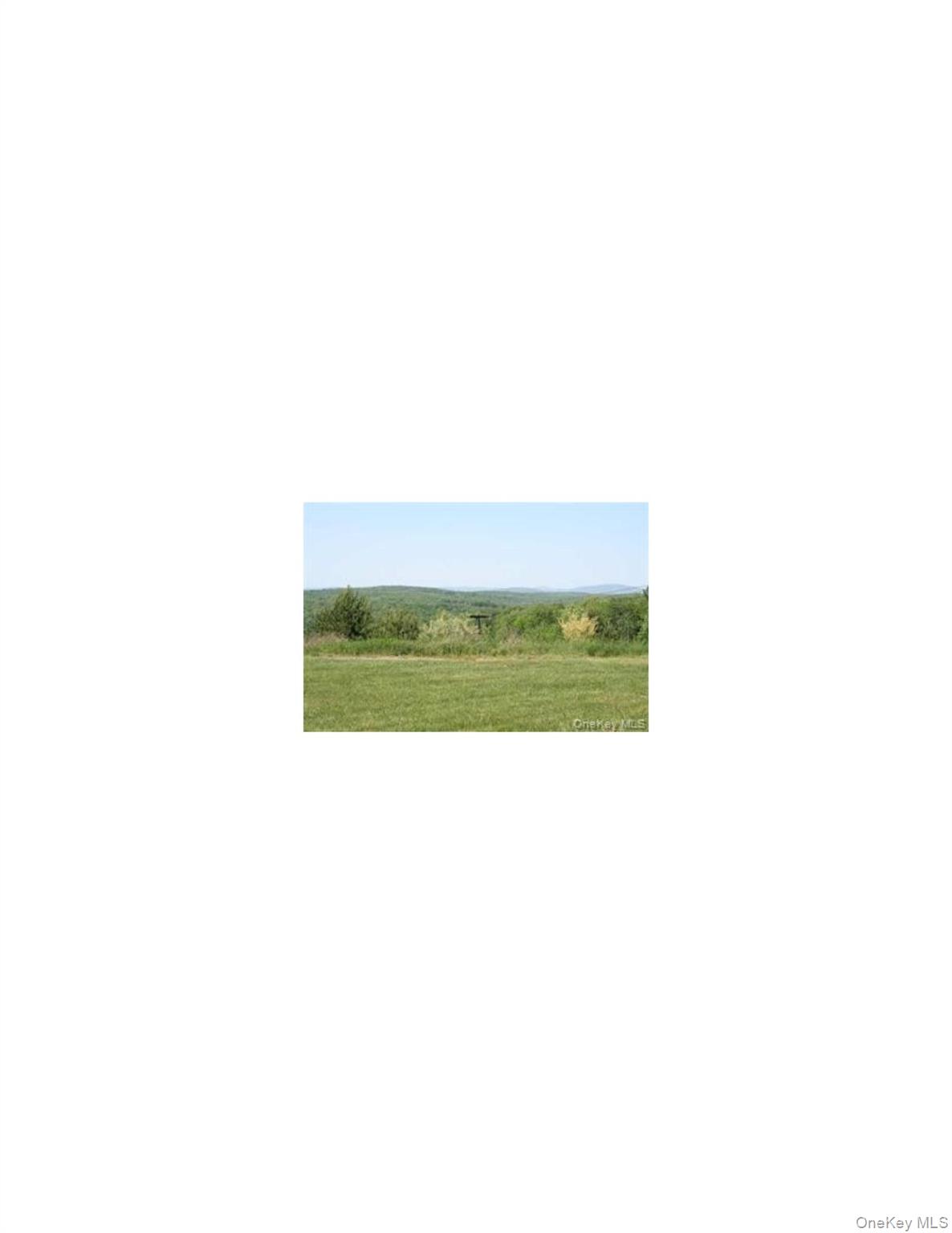 MEADOWLARK Road, Fallsburg, NY 12733