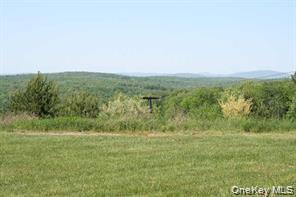 MEADOWLARK Road, Fallsburg, NY 12733