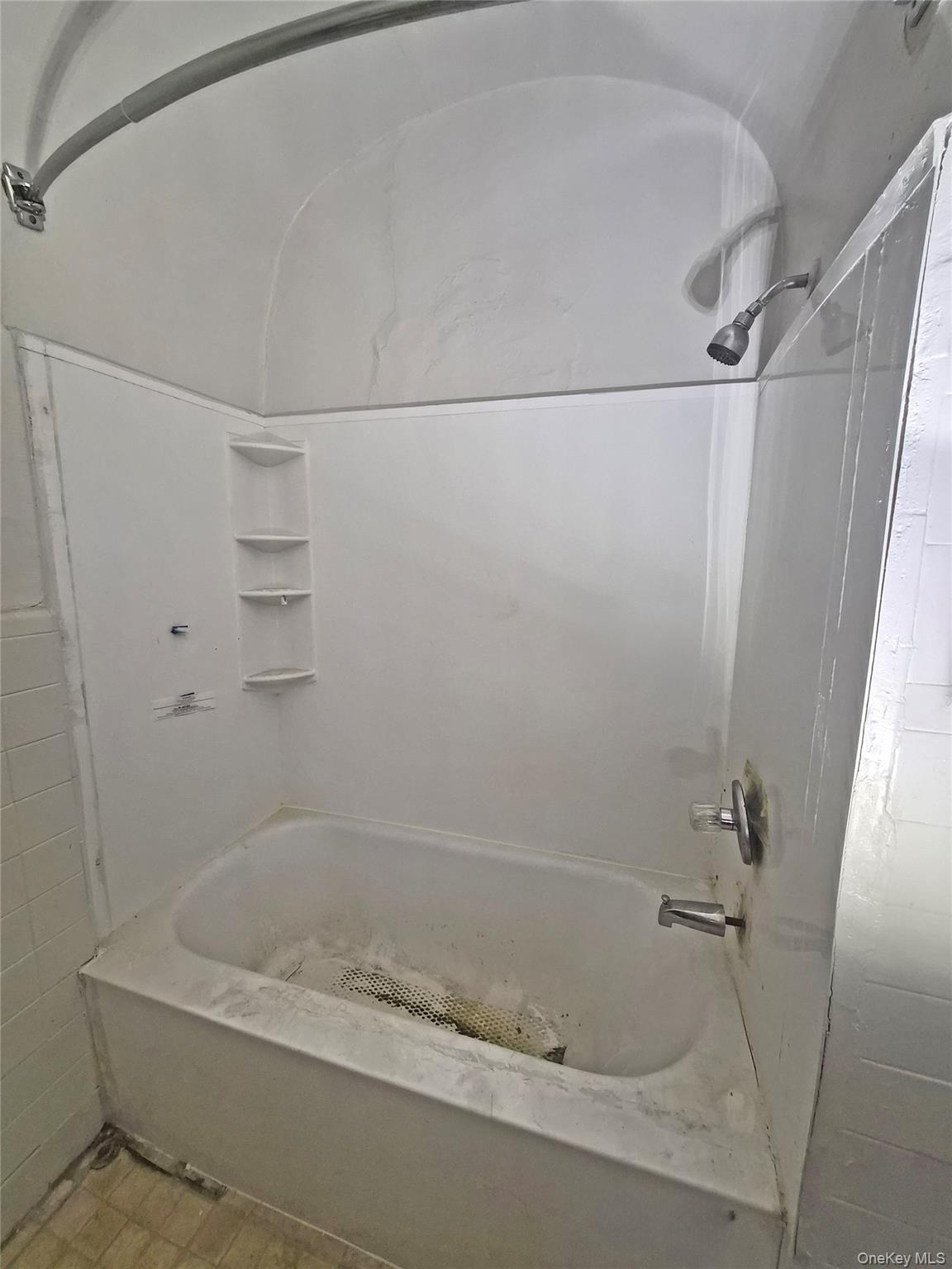 411 Winthrop Street, Brooklyn, NY 11203