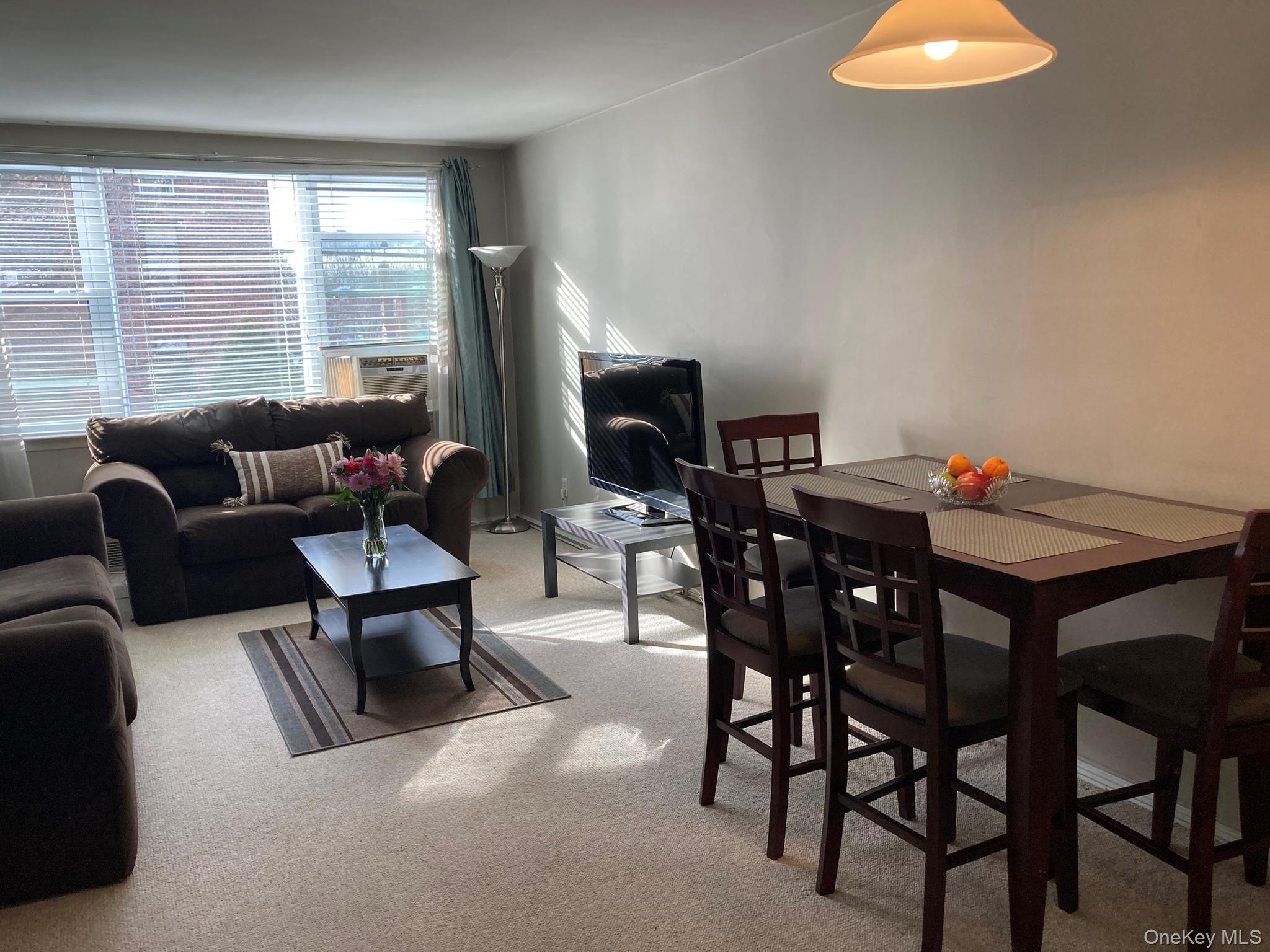 120 Horton Highway # A1, Mineola, NY 11501