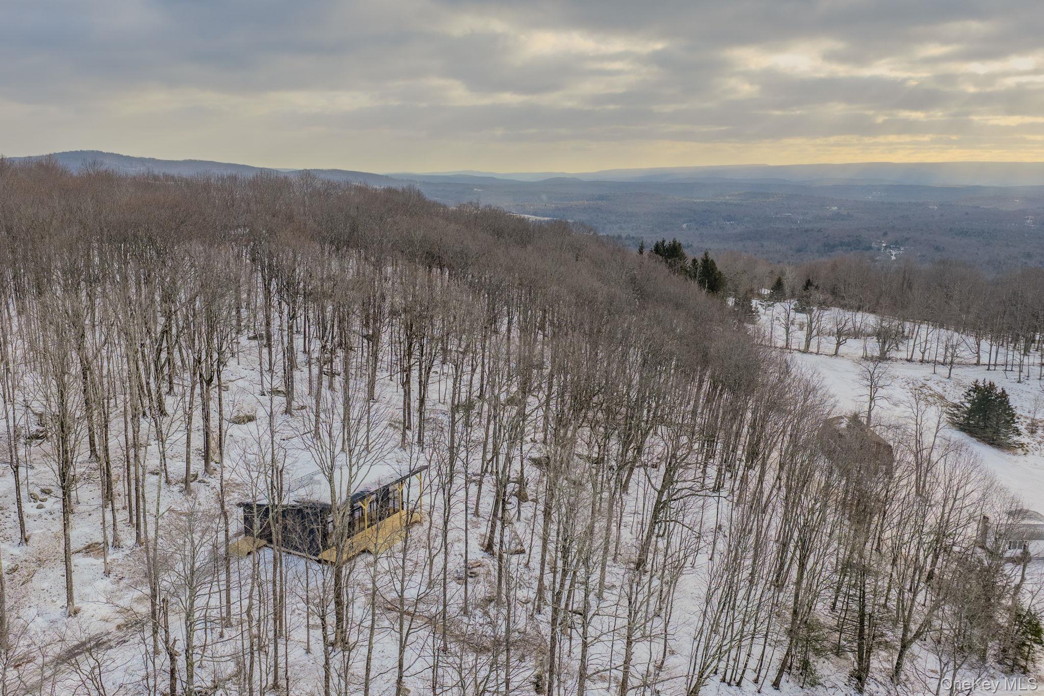 84 Skyline Drive, Neversink, NY 12765