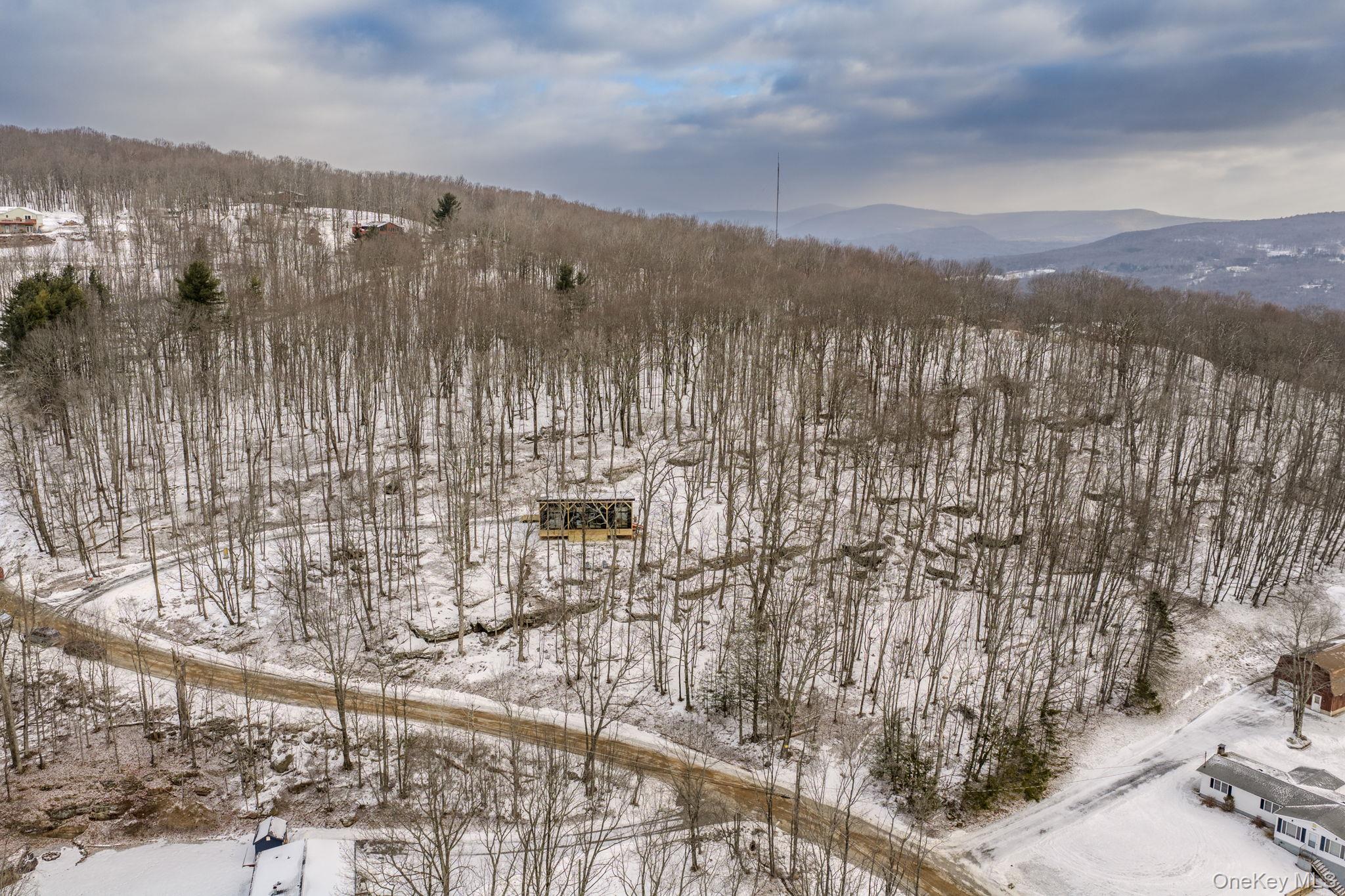 84 Skyline Drive, Neversink, NY 12765