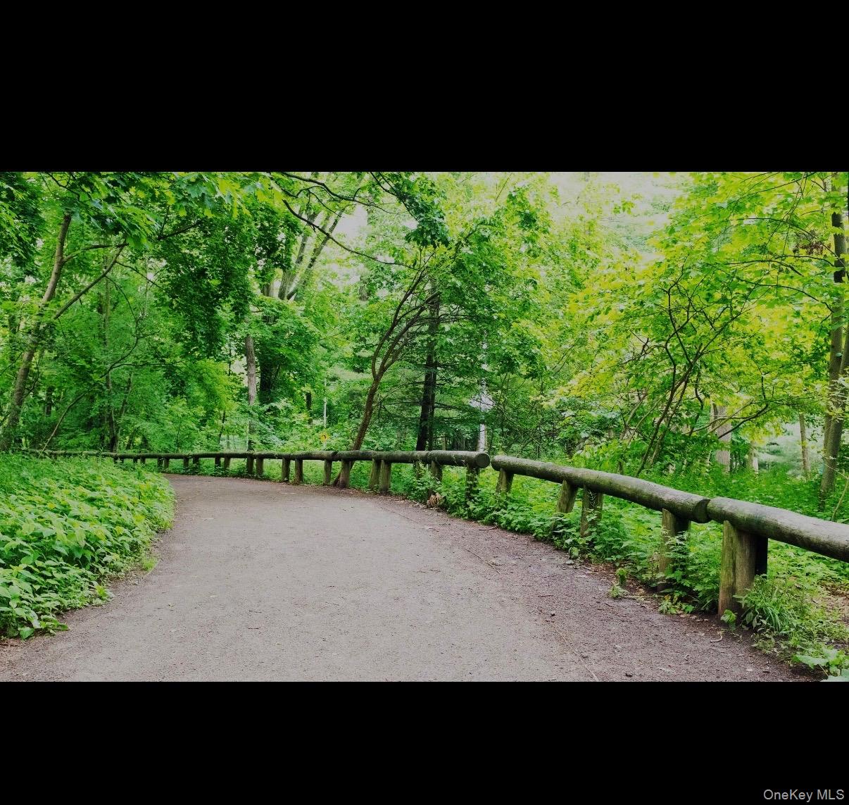 86-19 79th Street, Woodhaven, NY 11421