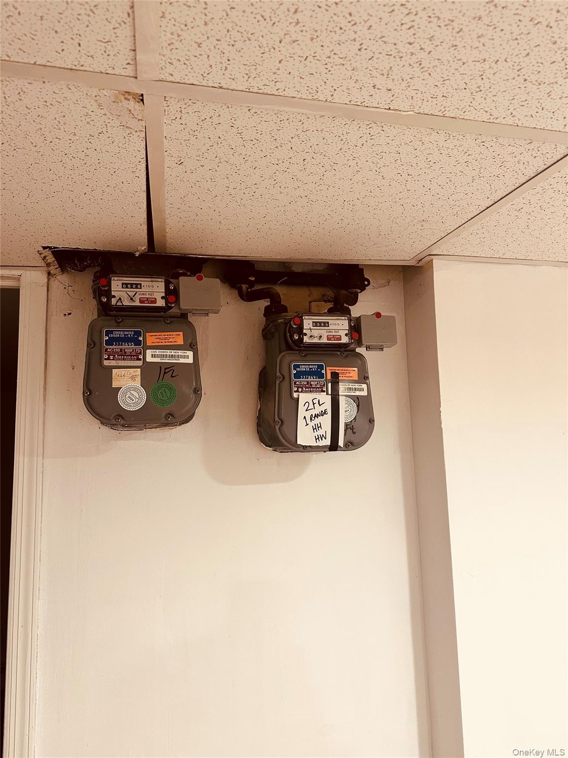 2819 Coddington Avenue, Bronx, NY 10461