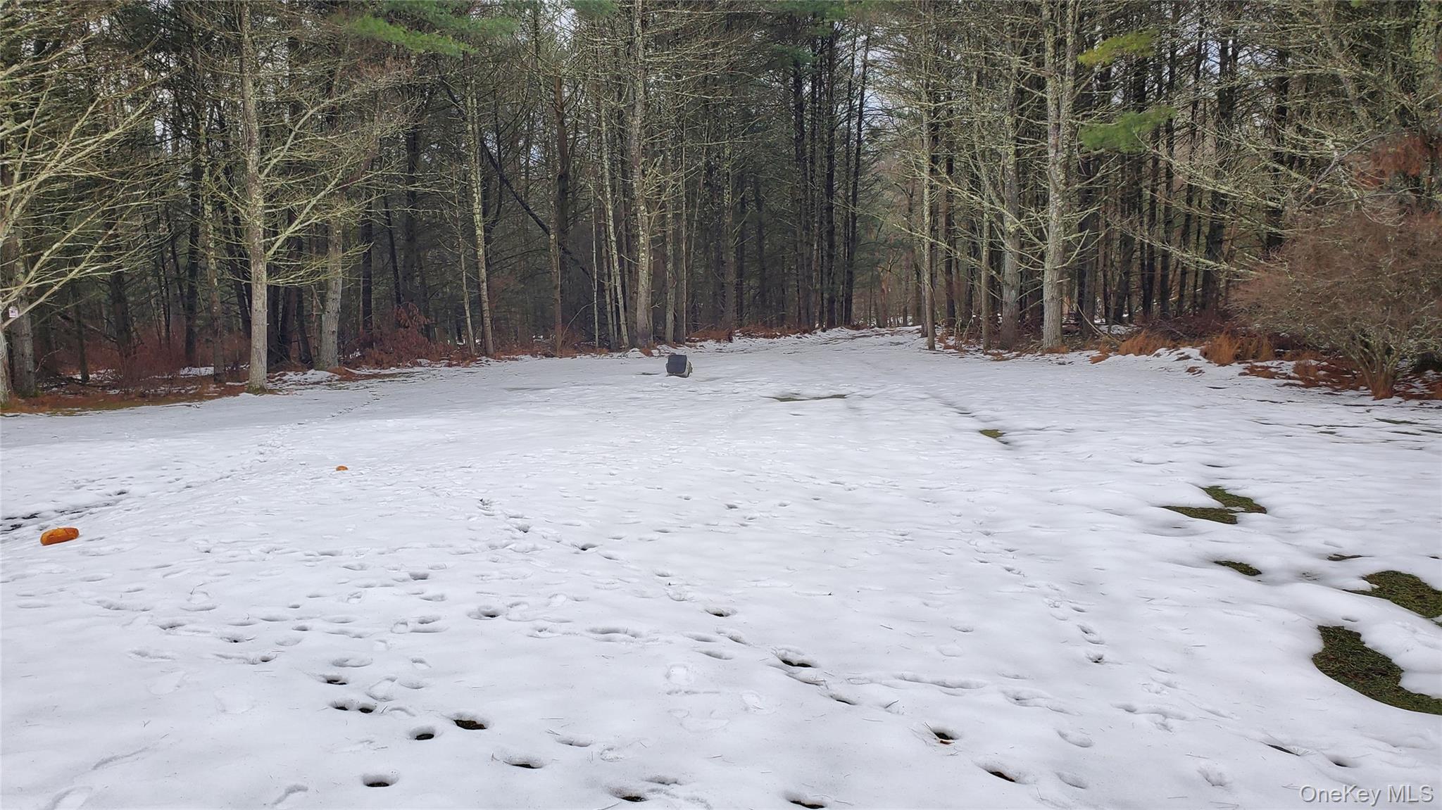 807 Beaver Brook Road, Narrowsburg, NY 12764