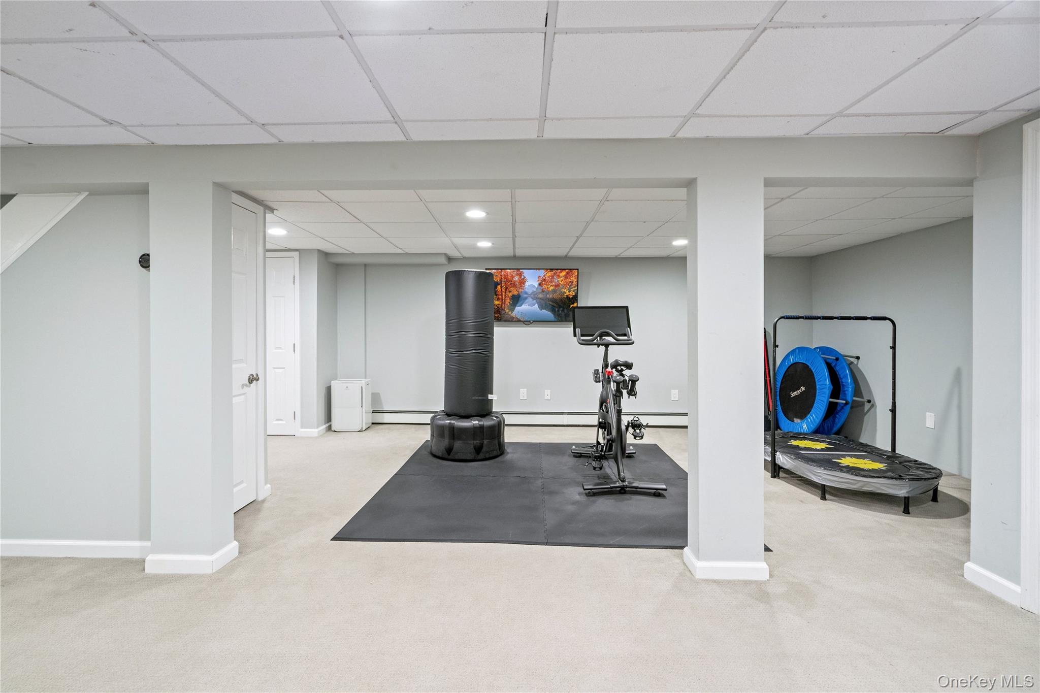 172 Burtis Lane, Syosset, NY 11791