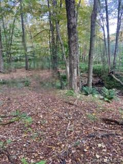 Cr 92, Roscoe, NY 12736