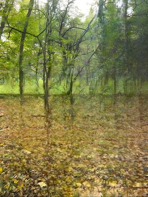 Cr 92, Roscoe, NY 12736