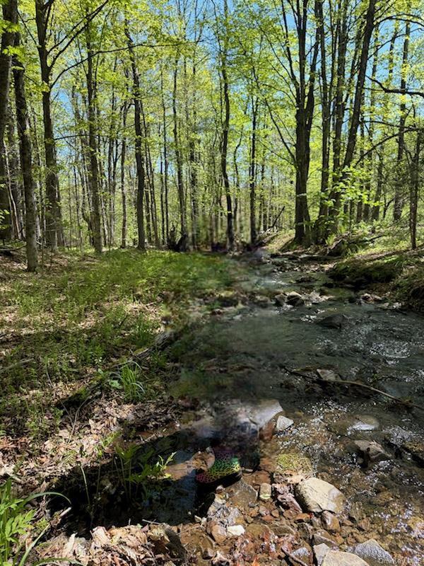 Cr 92, Roscoe, NY 12736