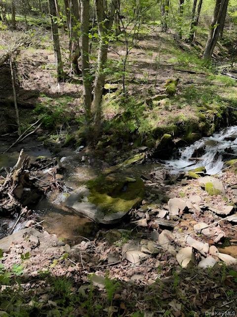 Cr 92, Roscoe, NY 12736