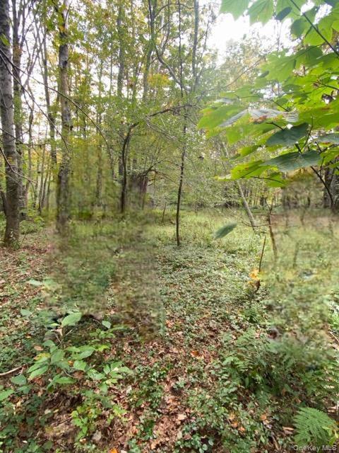 Cr 92, Roscoe, NY 12736