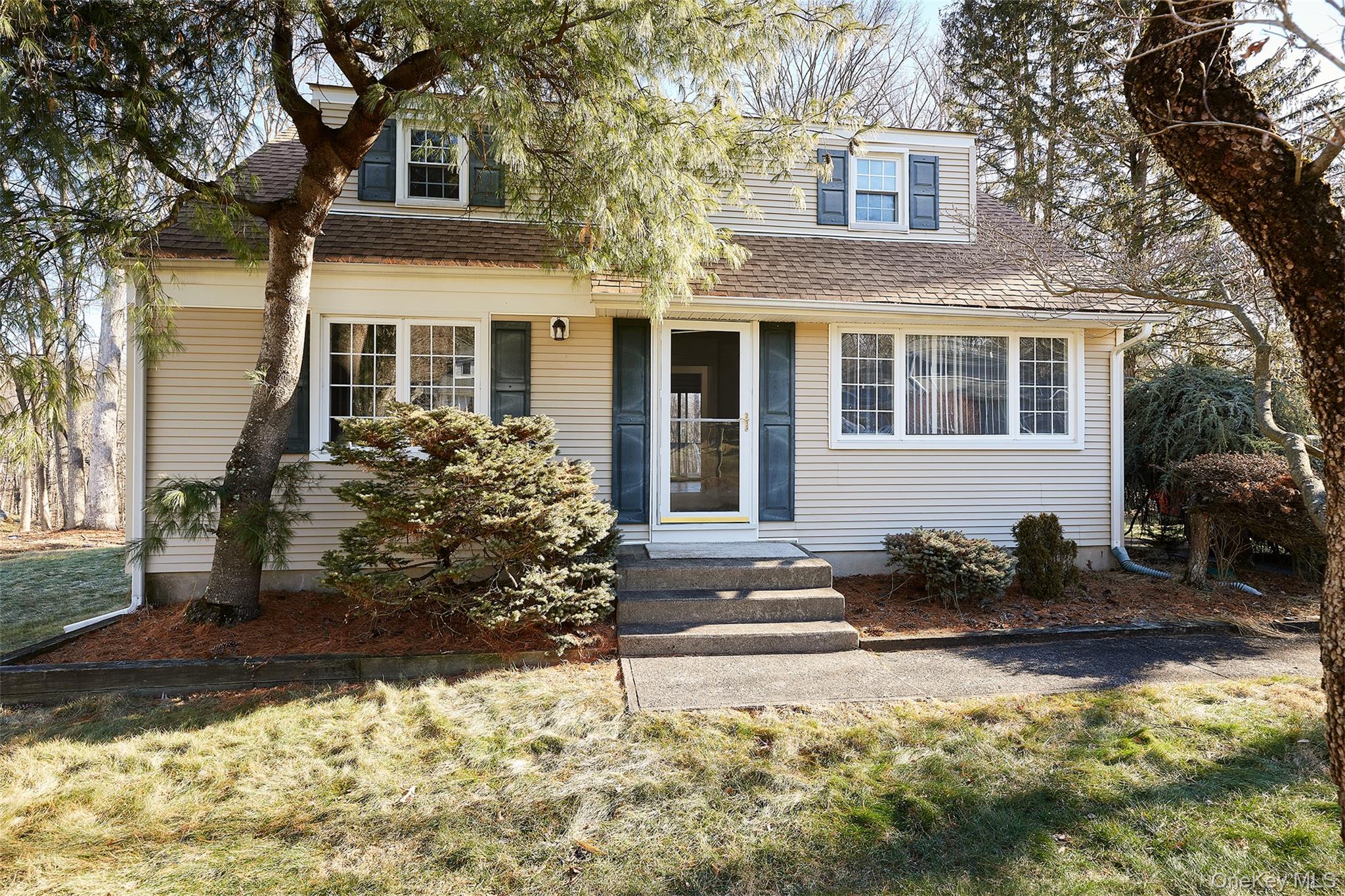 70 Buchanan Street, Pearl River, NY 10965