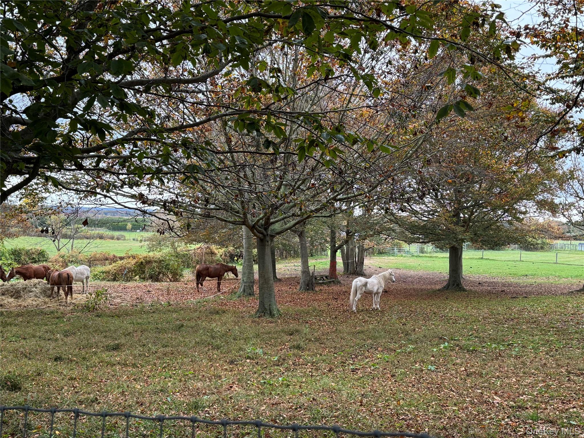 3172 Sound Avenue, Riverhead, NY 11901