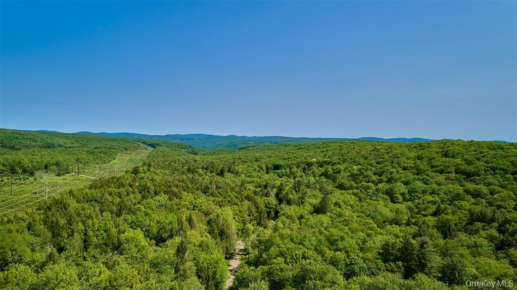 172 Wards Road, Livingston Manor, NY 12758