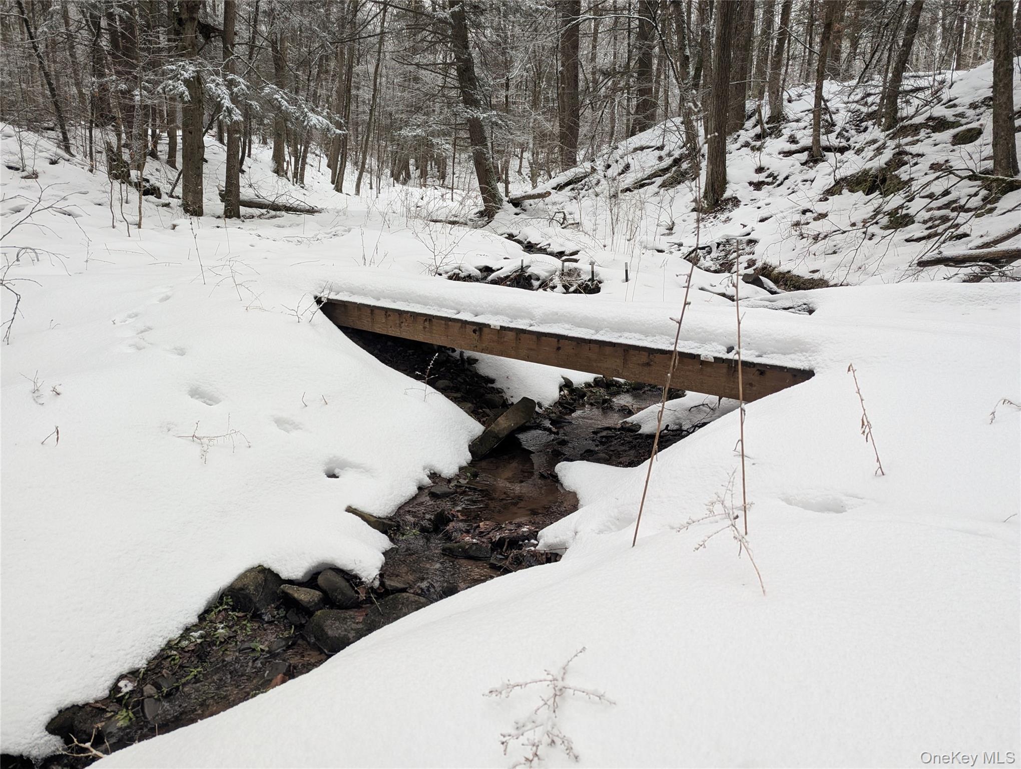 Heinle Road E, Swan Lake, NY 12783